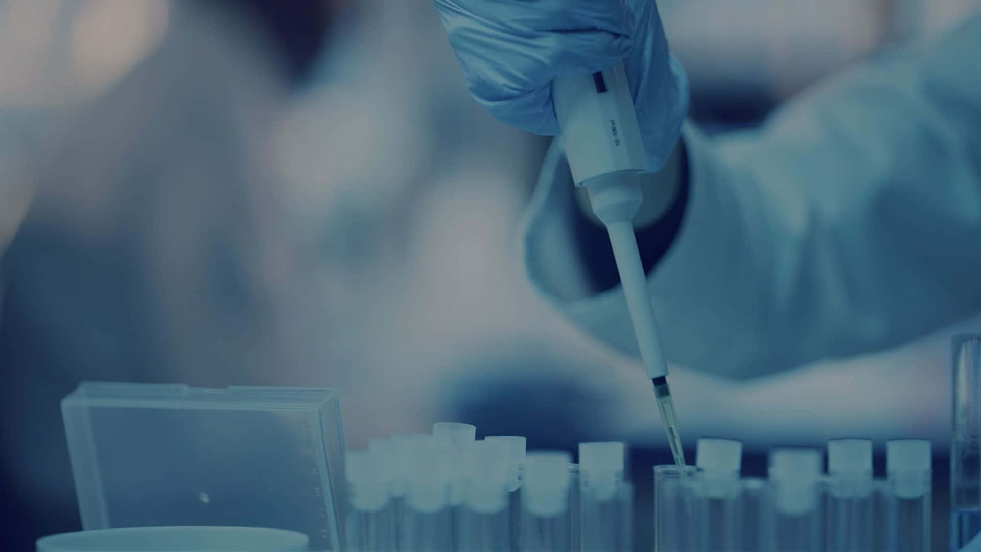 科學 桌布 壁紙 — 一隻戴著手套的手精確地使用移液器將液體轉移到試管中，背景是冷色調的藍色實驗室環境。