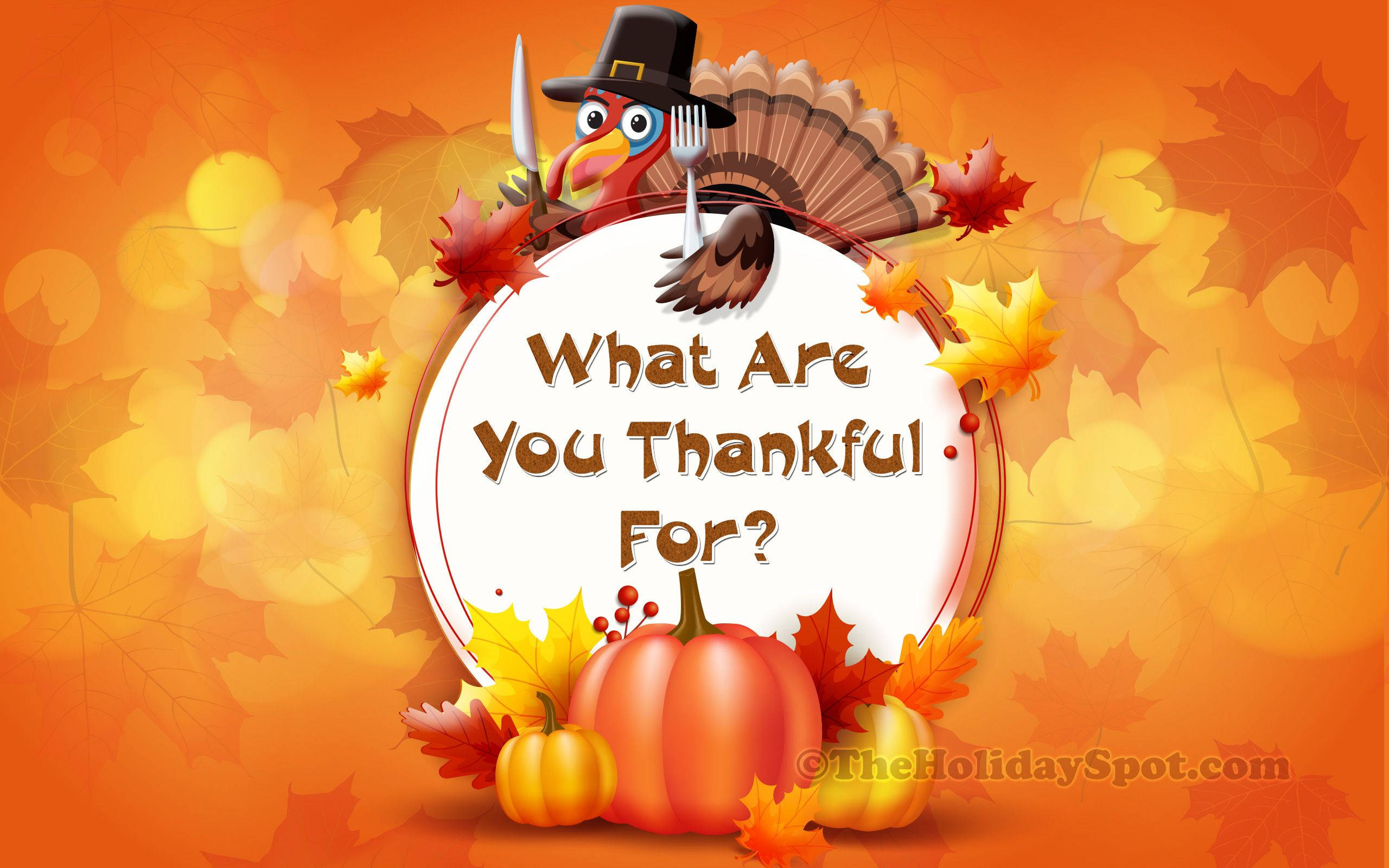Turkey Happy Thanksgiving 桌布 壁紙 — 一隻戴著朝聖者帽子的卡通火雞，在一個寫著「你感恩什麼？」的標誌上方拿著餐具，周圍是南瓜和秋葉。