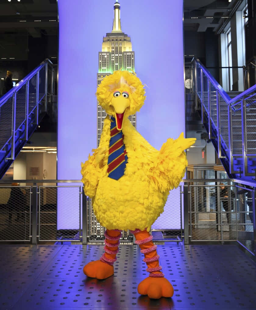 Big Bird 桌布 壁紙 — 一隻戴著條紋領帶的大型黃色大鳥吉祥物，在現代建築中愉快地站立，背景是發光的帝國大廈。