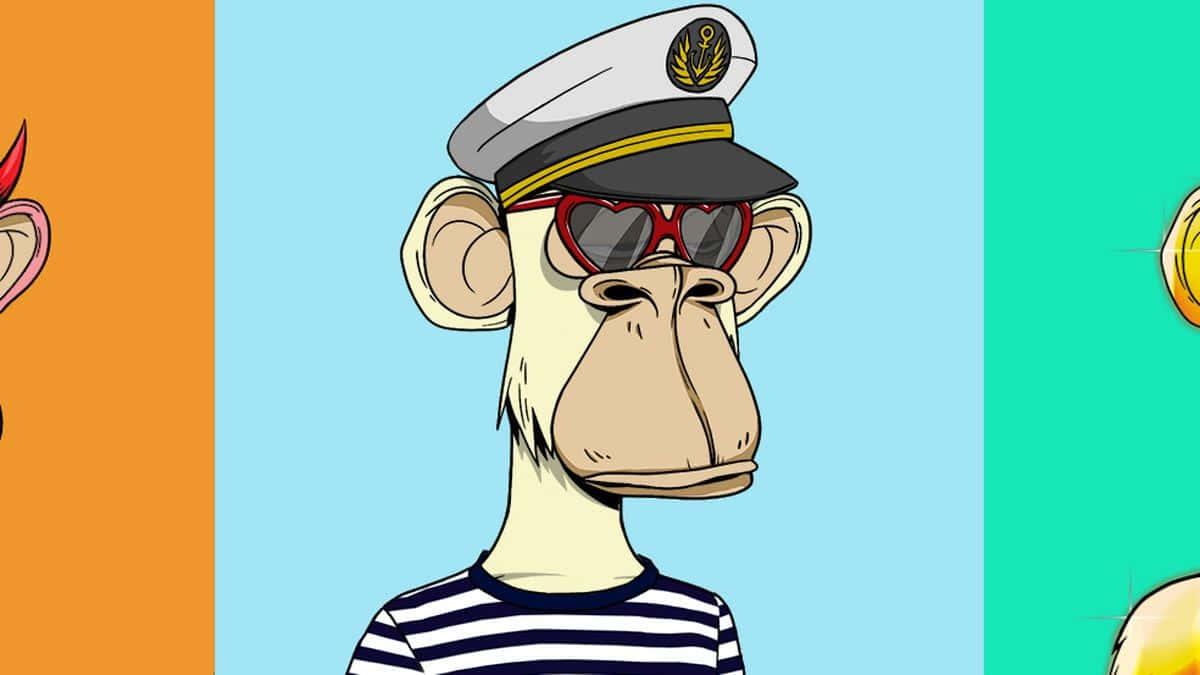 sailor 桌布 壁紙 — 一隻戴著水手帽和心形太陽眼鏡的卡通猴子站在三色背景前。