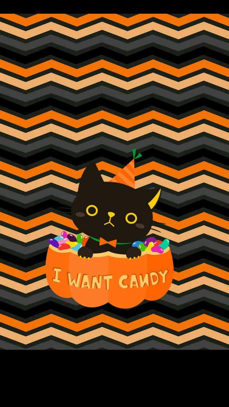 Black Cat Halloween 桌布 壁紙 — 一隻戴著派對帽的可愛黑色卡通貓咪坐在一個裝滿糖果的橙色南瓜裡，背景是鋸齒狀的萬聖節圖案。