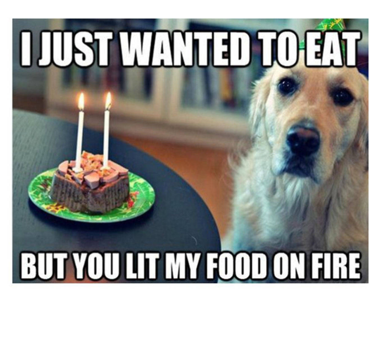 Funny Meme 桌布 壁紙 — 一隻戴著派對帽的金毛獵犬悲傷地看著一個著火的蛋糕，上面有兩根點燃的蠟燭。