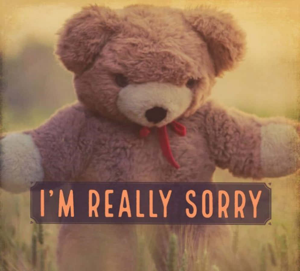Teddy Bear 桌布 壁紙 — 一隻戴著紅色蝴蝶結的復古泰迪熊站在陽光明媚的田野裡，舉著一個寫著「我真的很抱歉」的牌子。