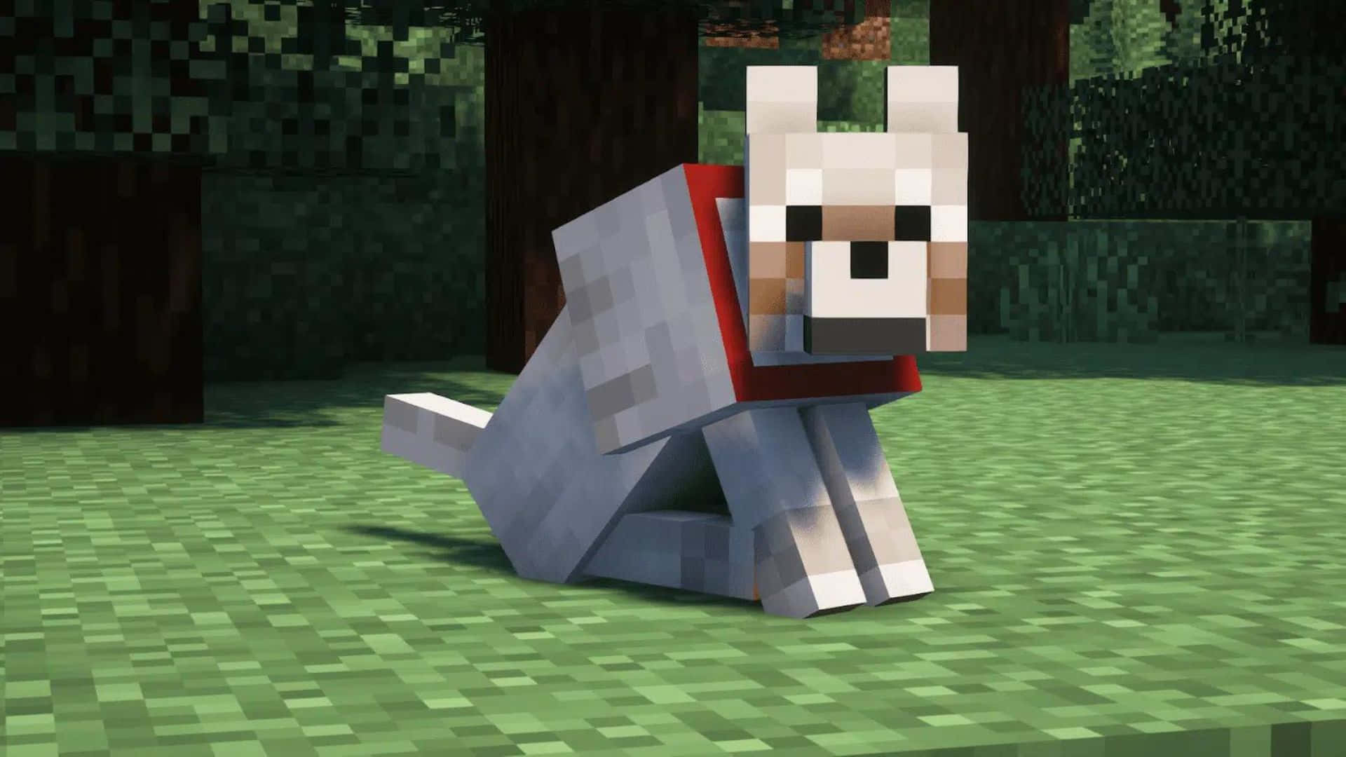 Minecraft Wolf 桌布 壁紙 — 一隻戴著紅色項圈的像素化Minecraft狗坐在綠色草地上，周圍是方塊狀樹木的森林。