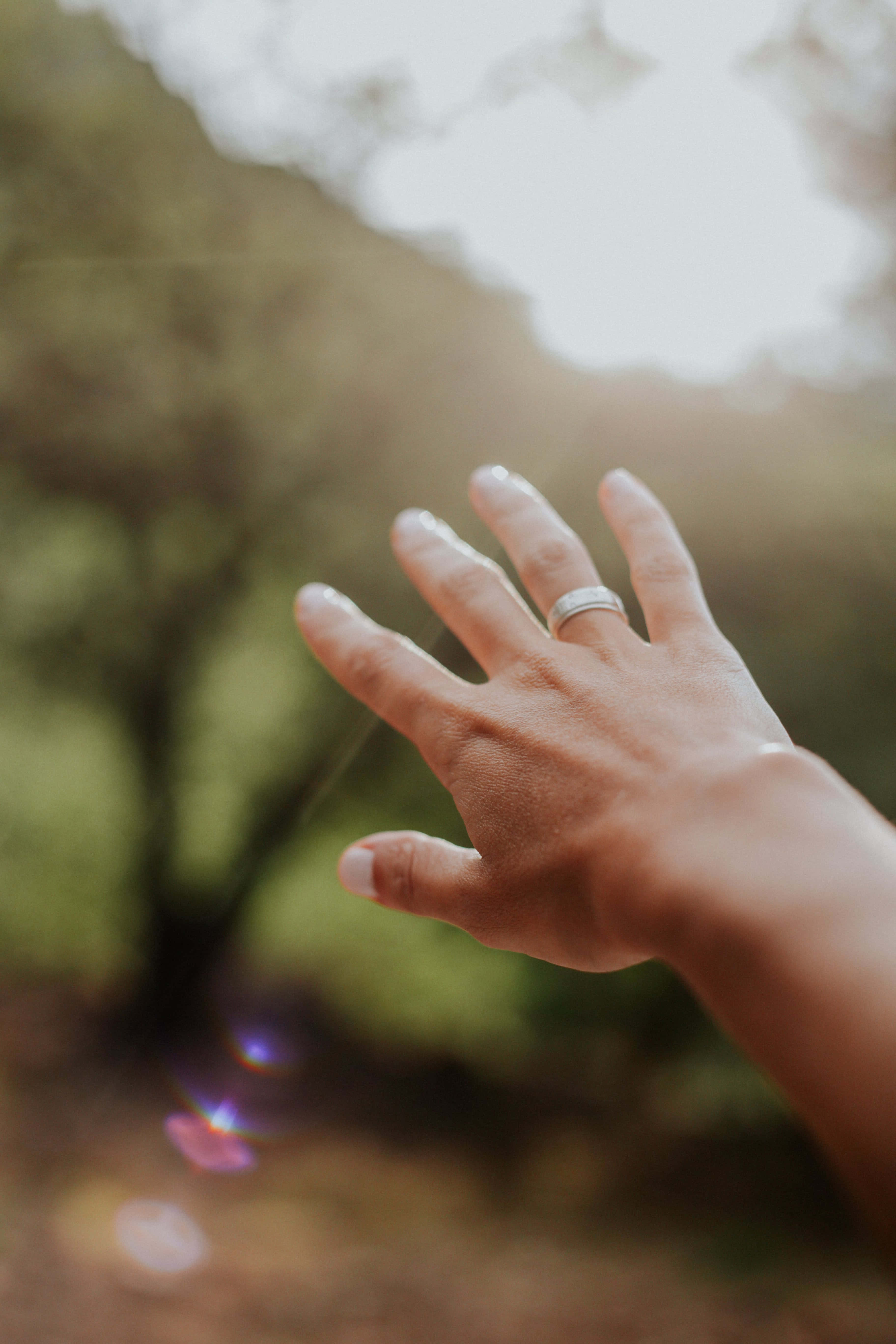 樹木 桌布 壁紙 — 一隻戴著結婚戒指的手伸向穿過模糊綠樹的柔和陽光。
