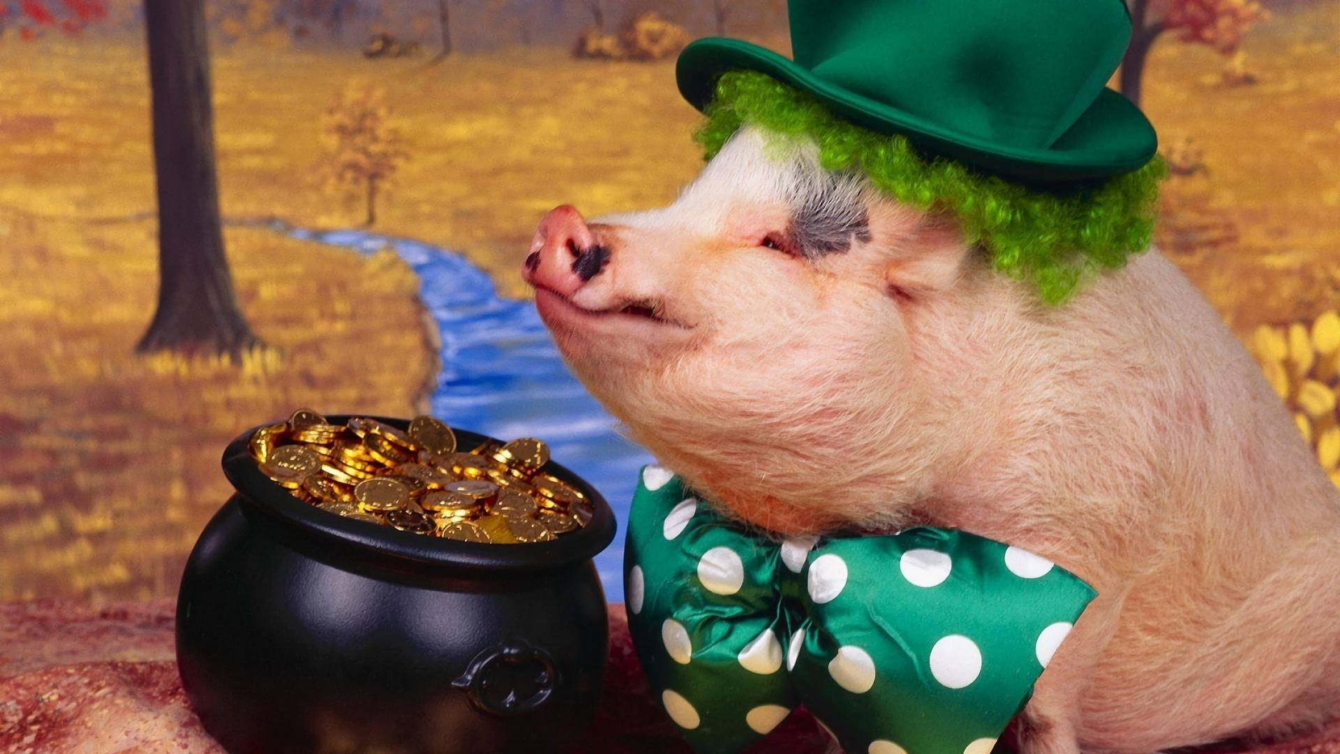 Pig 桌布 壁紙 — 一隻戴著綠色高帽和領結的豬，在金色田野中凝視著一個裝滿金幣的鍋。