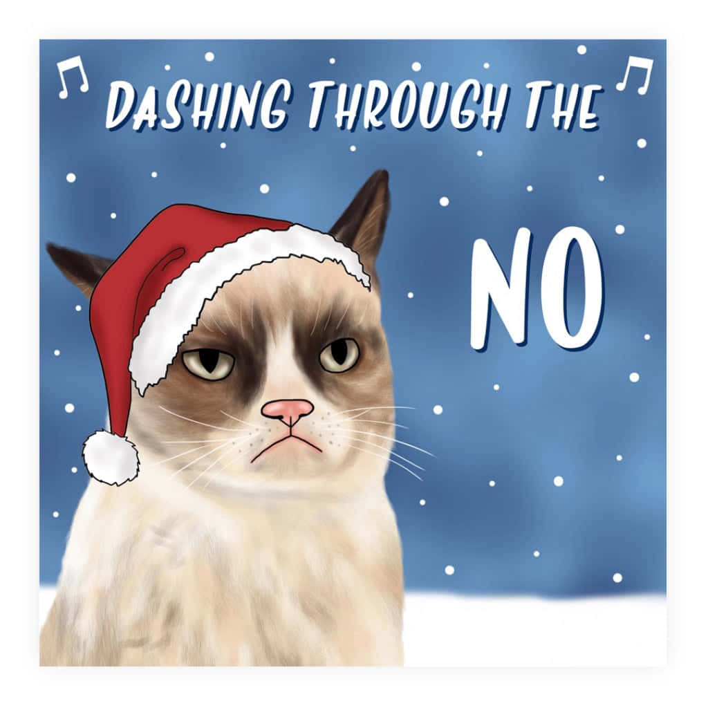 Grumpy Cat 桌布 壁紙 — 一隻戴著聖誕帽的暴躁貓咪，在雪藍色背景上挑釁地凝視，並帶有文字「DASHING THROUGH THE NO」。