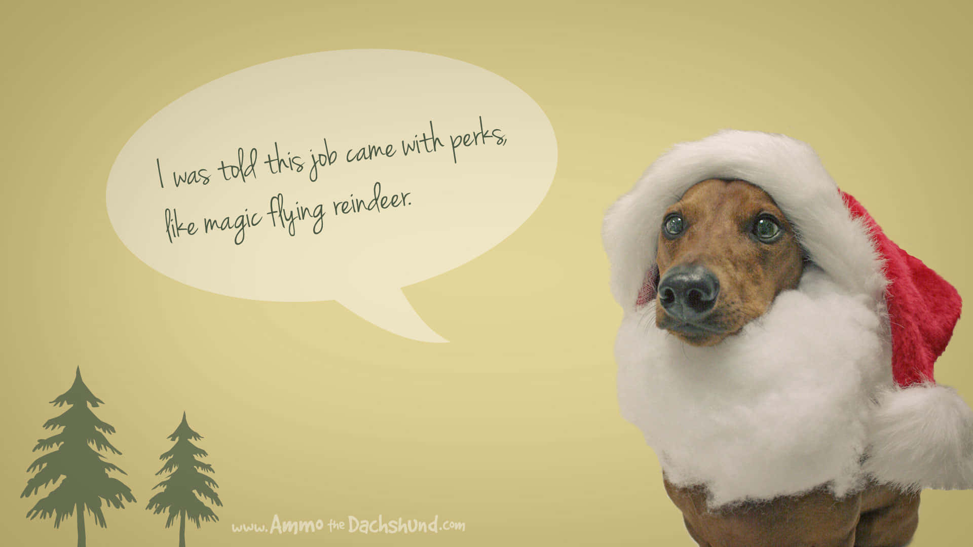 Funny Holiday Desktop 桌布 壁紙 — 一隻戴著聖誕帽的臘腸犬看起來很驚訝，對話框說：「我被告知這份工作有像魔法飛天馴鹿這樣的福利。」