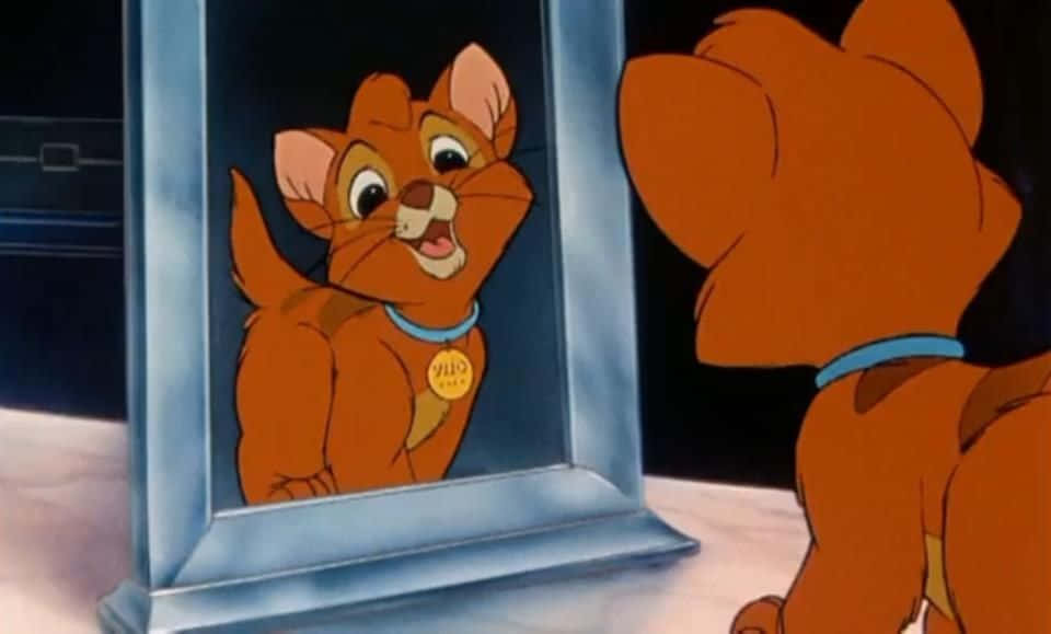 oliver and company 桌布 壁紙 — 一隻戴著藍色項圈的活潑橙色小貓，正凝視著銀框鏡中的倒影。