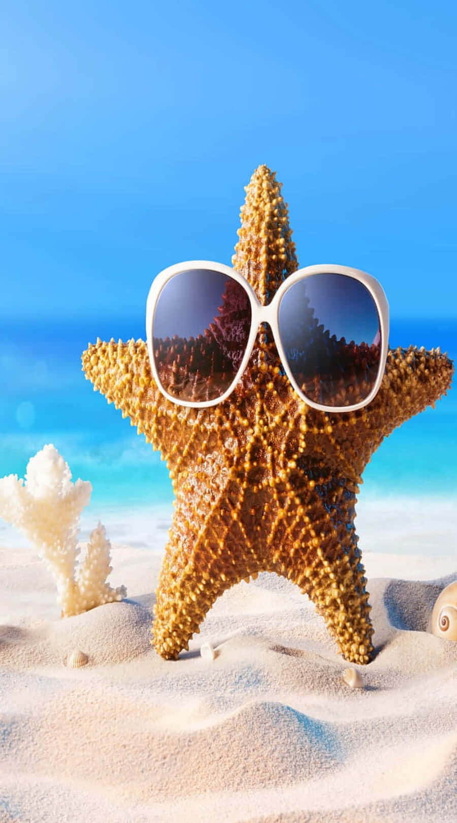 Sunglasses 桌布 壁紙 — 一隻戴著超大白框太陽眼鏡的海星站在沙灘上，背景有珊瑚和海洋。