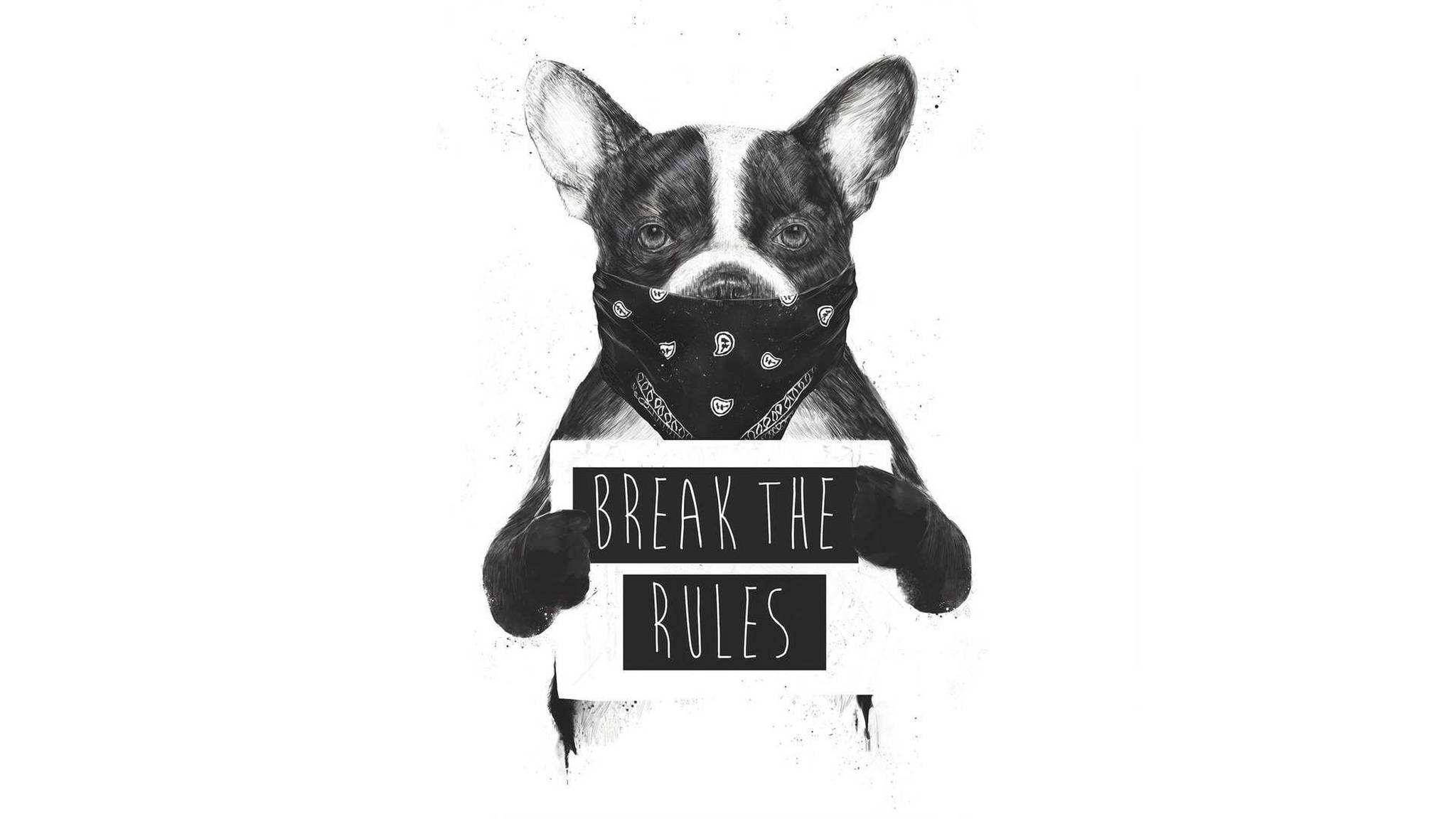 Dog Art 桌布 壁紙 — 一隻戴著頭巾的法國鬥牛犬舉著一個牌子，上面寫著打破規則，風格粗糙如素描。