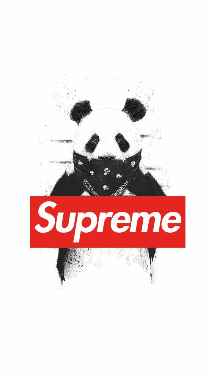 超屌 Supreme 桌布 壁紙 — 一隻戴著頭巾的風格化熊貓站在一個大膽的紅色Supreme標誌後面，背景是帶有紋理的白色。