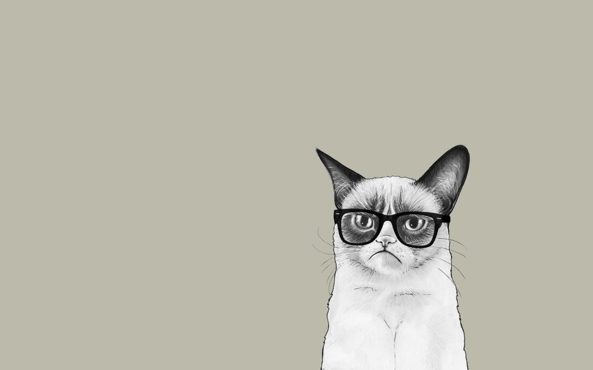 Grumpy Cat 桌布 壁紙 — 一隻戴著黑框眼鏡的脾氣暴躁的貓，在柔和的米色背景下怒目而視。