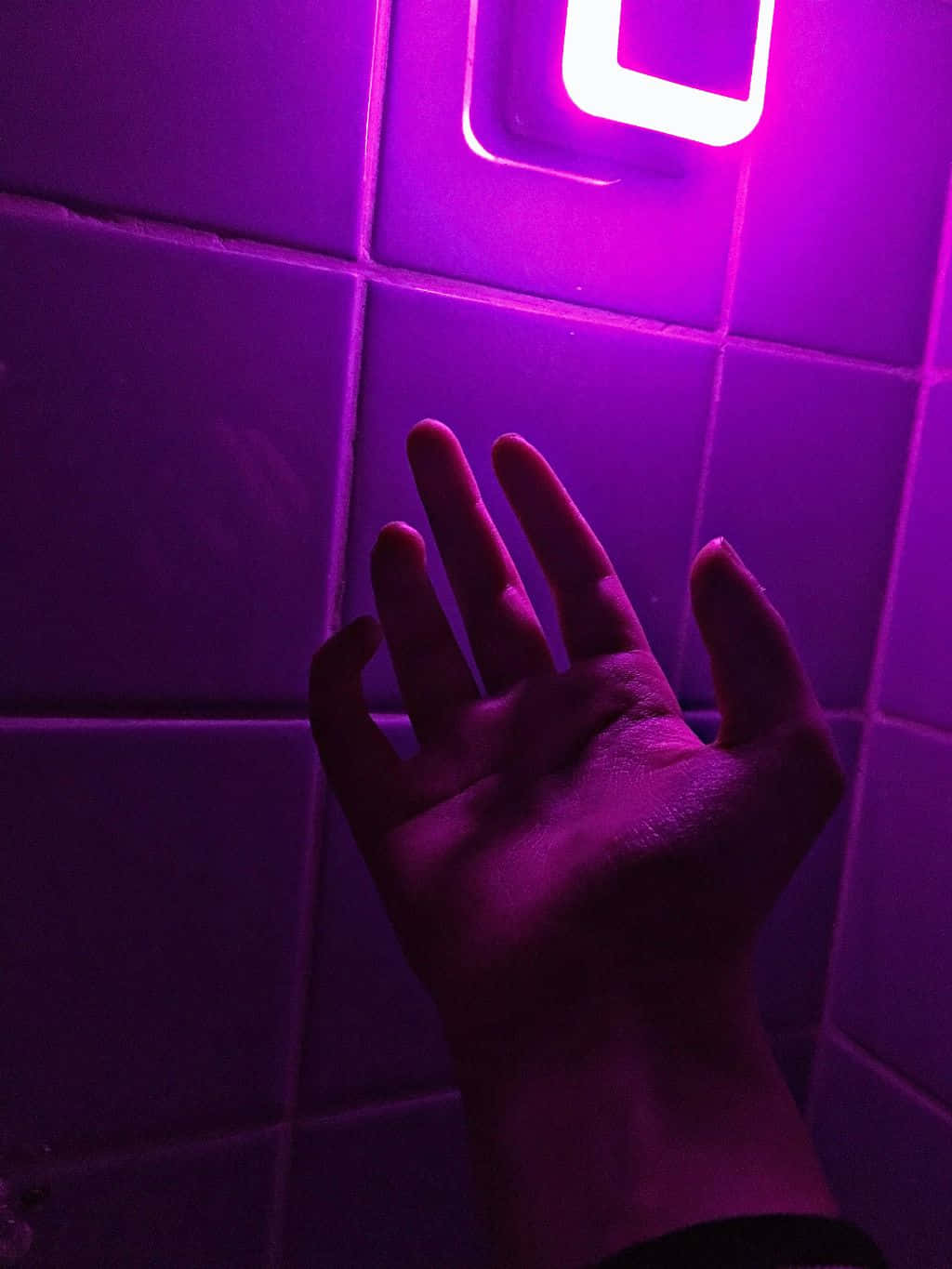 Violet Aesthetic 桌布 壁紙 — 一隻手伸向昏暗空間中瓷磚牆上發光的紫色燈具。