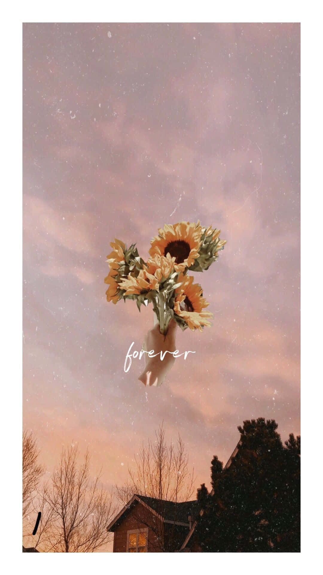 Sunflower Aesthetic iPhone 桌布 壁紙 — 一隻手在光禿樹木的房子上方，對著夢幻粉紅暮色天空舉起向日葵。