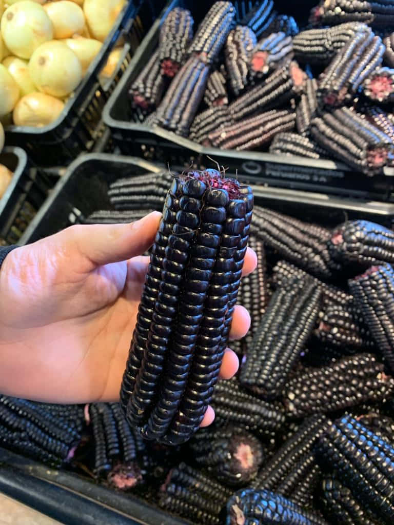 Purple Corn 桌布 壁紙 — 一隻手在市場攤位上拿著一個有光澤的黑色玉米棒，周圍有更多黑色玉米和黃色洋蔥放在黑色板條箱裡。
