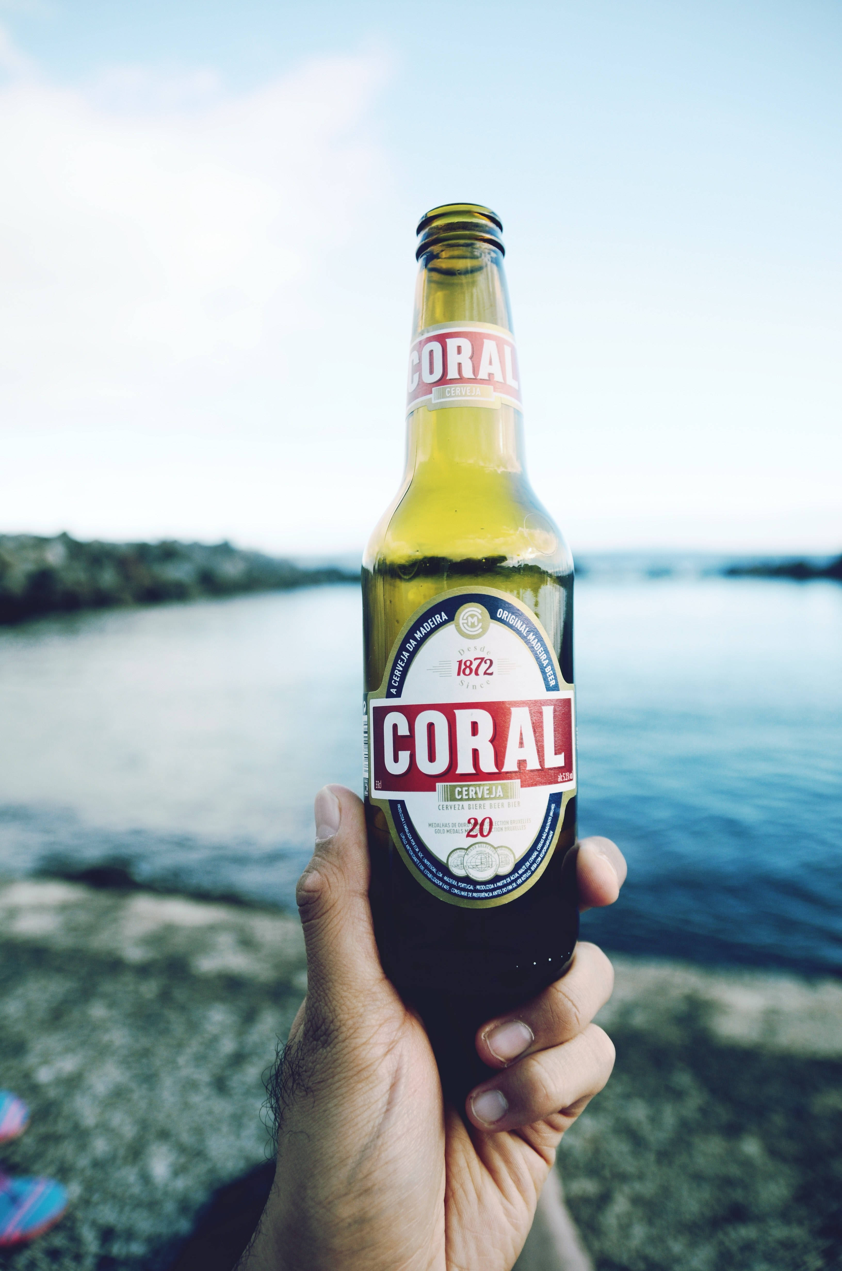 alcohol 桌布 壁紙 — 一隻手在明亮的日光下，以模糊的海濱背景為襯托，舉著一瓶Coral啤酒。