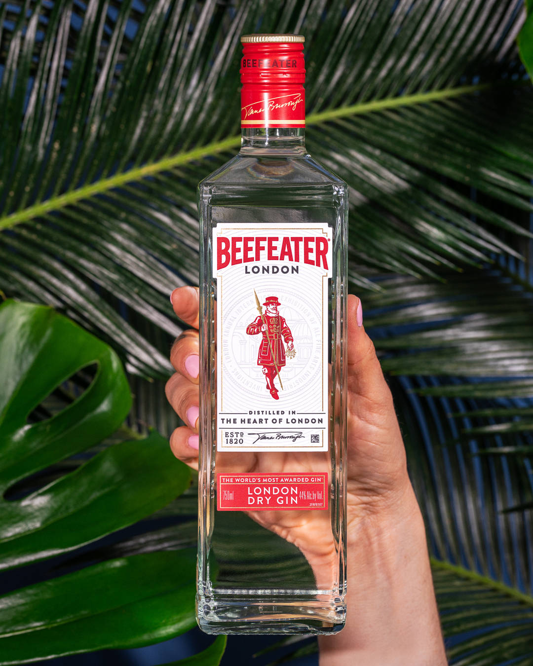 Gin 桌布 壁紙 — 一隻手在明亮的日光下，拿著一瓶透明的必富達倫敦乾琴酒，背景是茂密的綠色熱帶葉子。