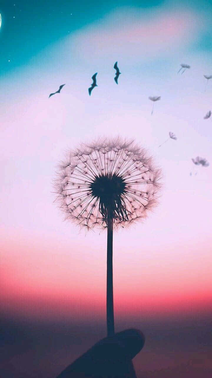 Dandelion 桌布 壁紙 — 一隻手在暮色天空中握著蒲公英種子球，種子飄散，鳥兒在頭頂飛翔。