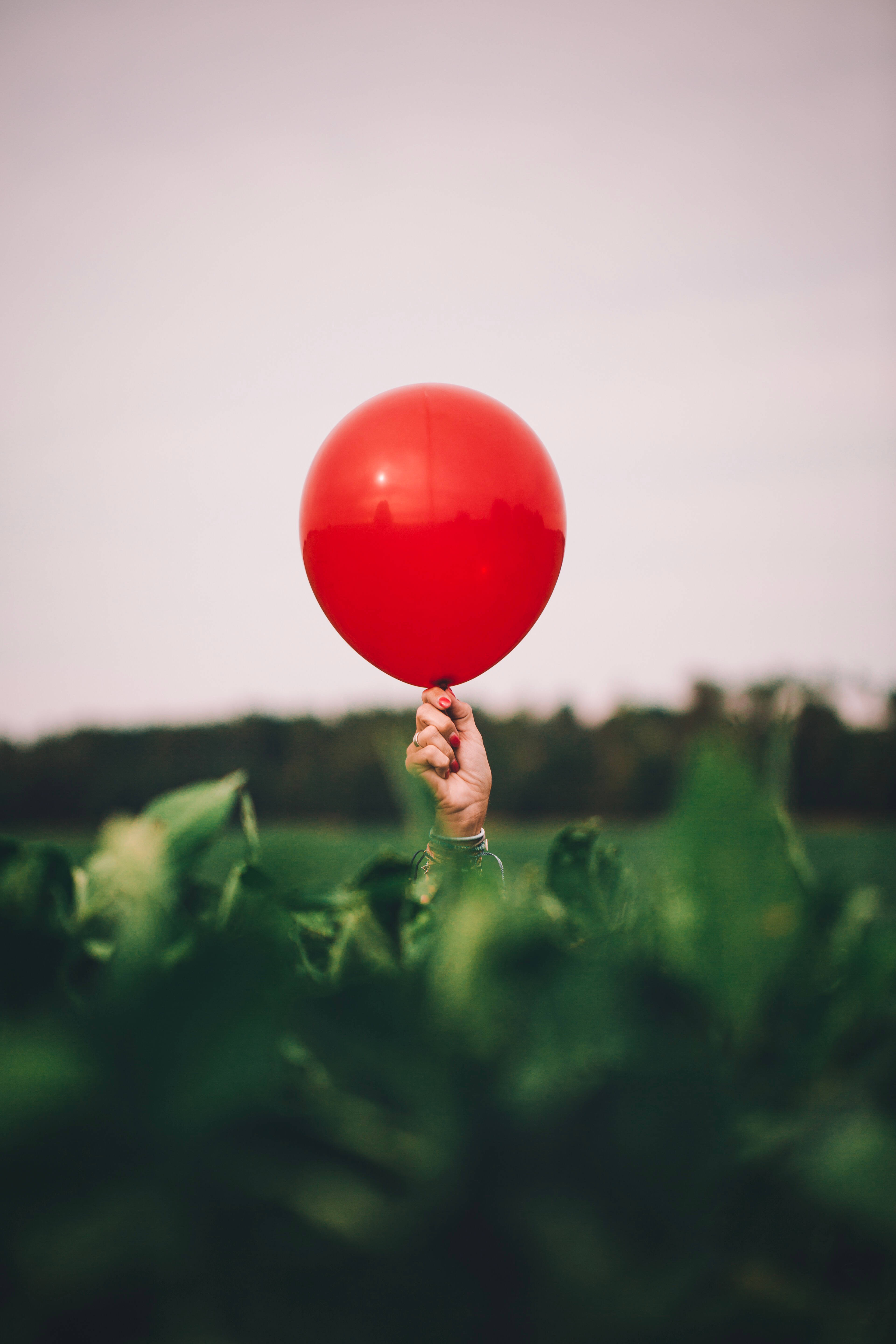 Balloon 桌布 壁紙 — 一隻手在柔和的多雲天空下，拿著一個鮮紅色的氣球，背景是模糊的綠色田野。