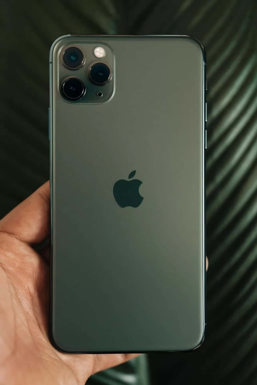 手機 桌布 壁紙 — 一隻手在深綠色樹葉背景前拿著一部霧面綠色iPhone 11 Pro Max。