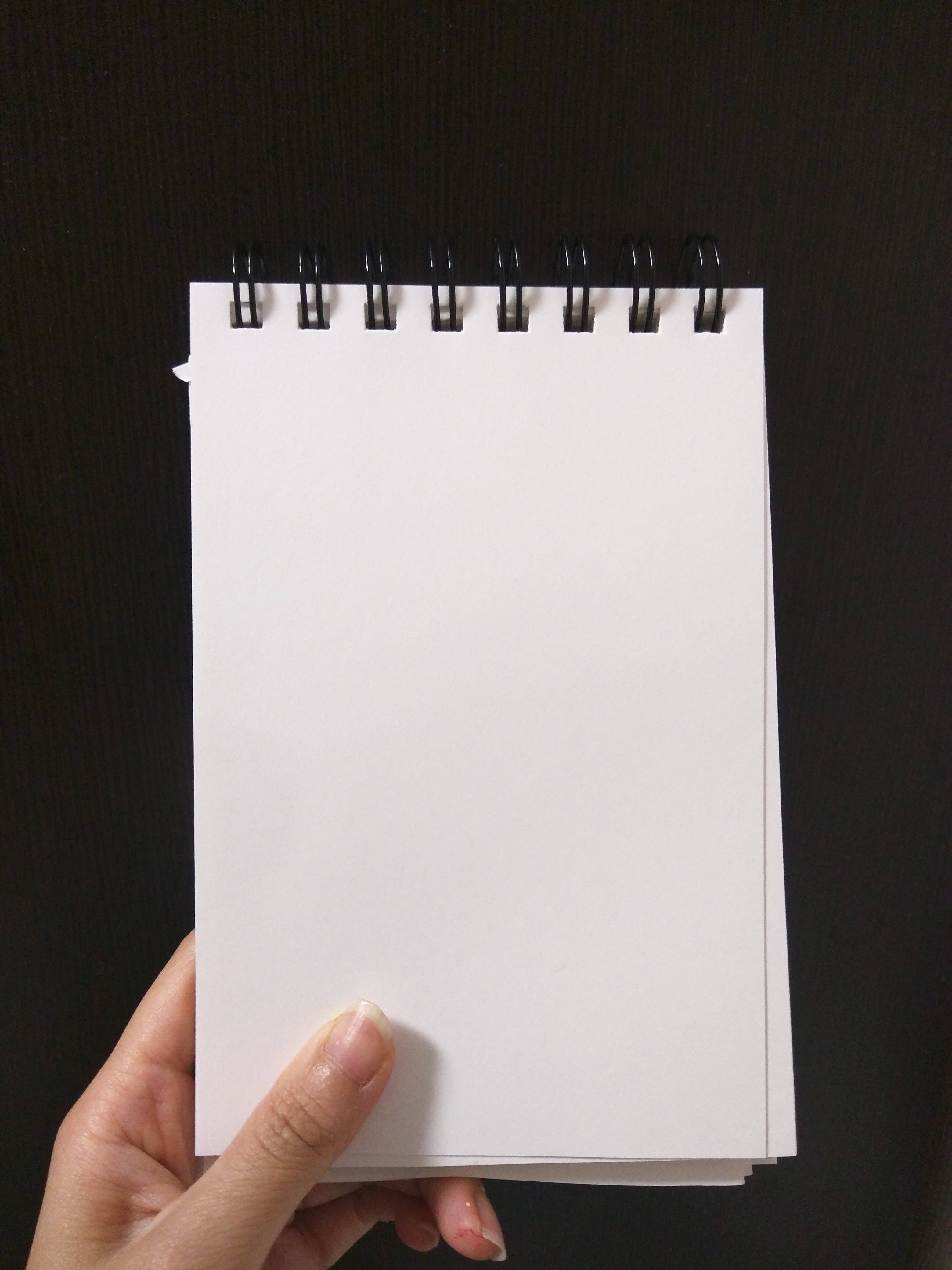 paper 桌布 壁紙 — 一隻手在深色木質背景上拿著一本空白白色螺旋筆記本。