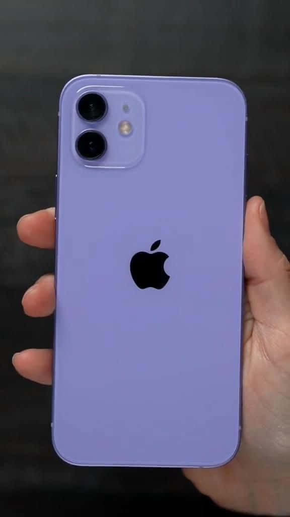 iPhone 12 桌布 壁紙 — 一隻手在深色背景前拿著薰衣草色 iPhone 12 mini，展示其雙鏡頭系統和 Apple 標誌。