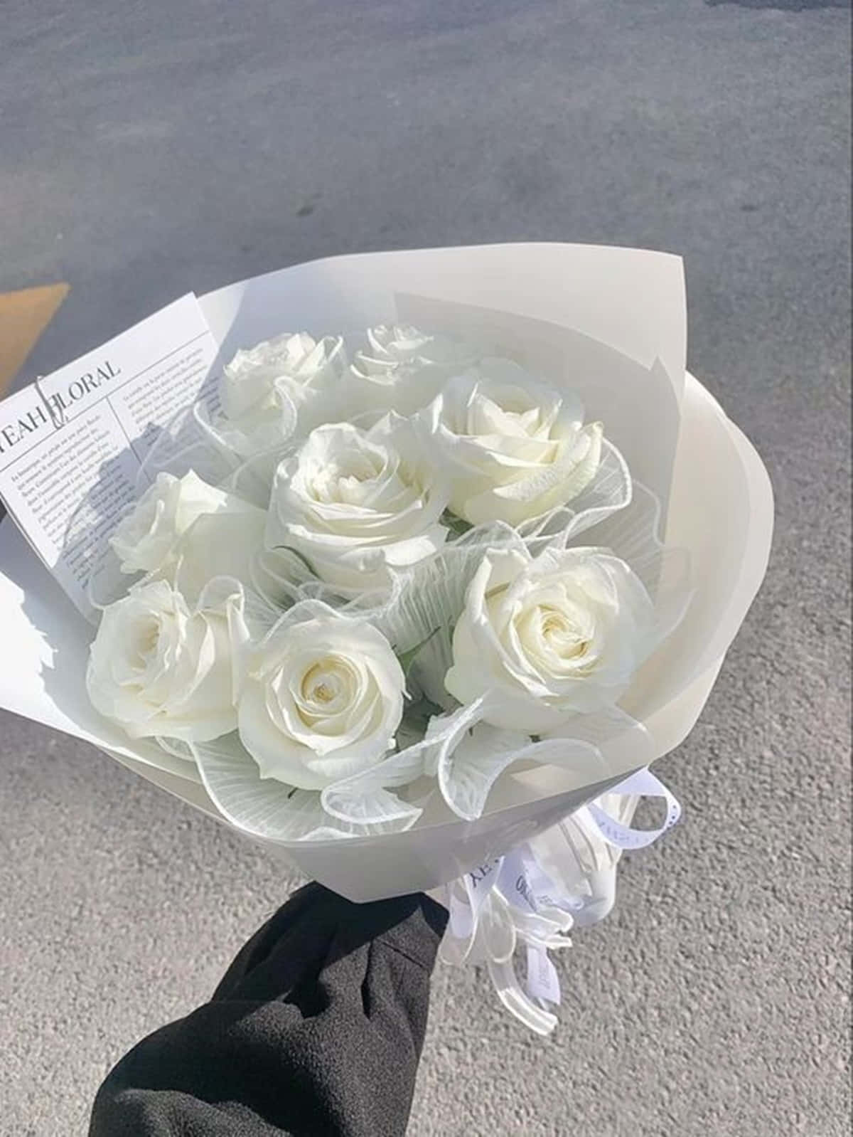 唯美花卉 桌布 壁紙 — 一隻手在灰色路面上，於明亮陽光下拿著一束純潔的白玫瑰，用白紙和絲帶包裹。