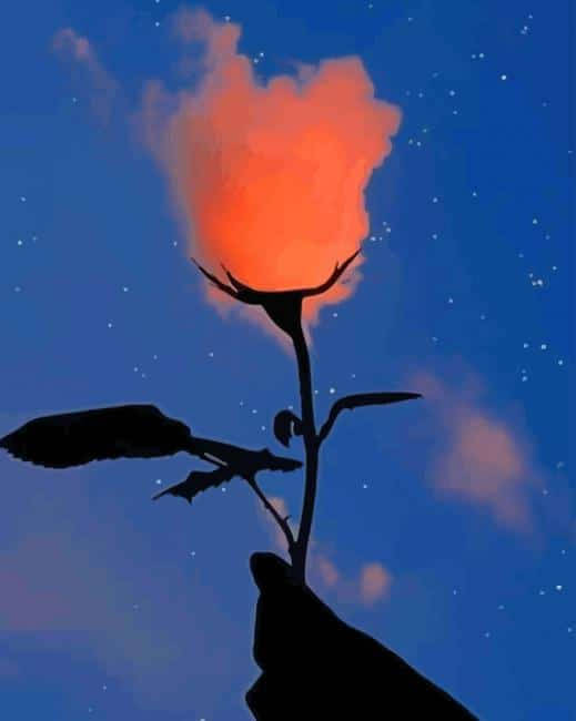 手在繁星夜空下持發光玫瑰
