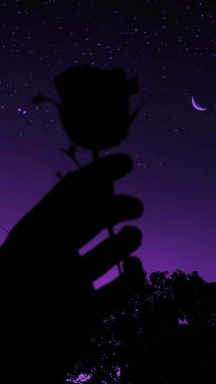 Black Rose Aesthetic 桌布 壁紙 — 一隻手在繁星點點的紫色夜空下，以新月為背景，手持玫瑰的剪影。