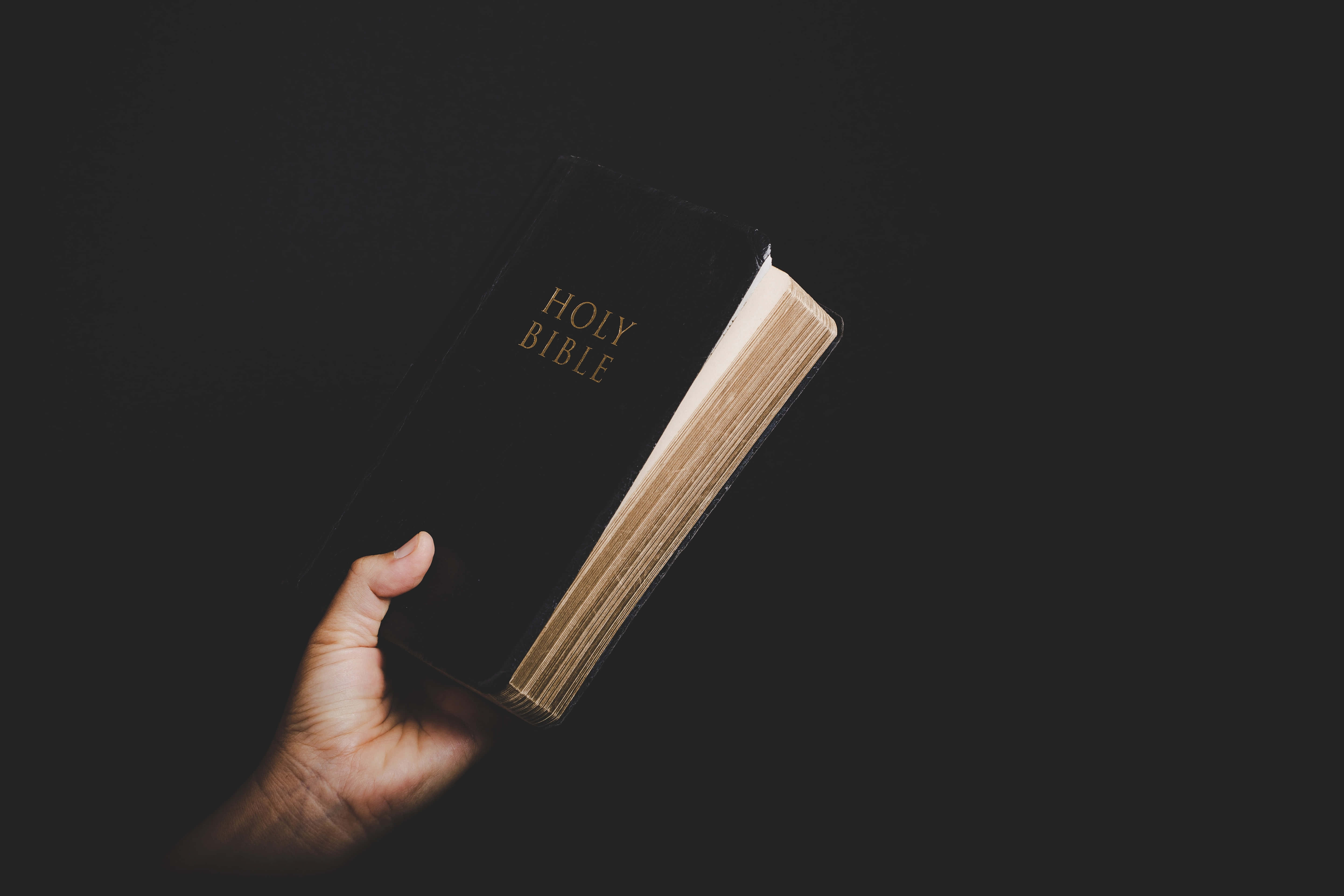Biblical 桌布 壁紙 — 一隻手在黑暗背景前，拿著一本有金色字的黑色聖經。