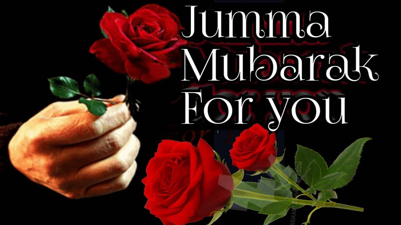 手拿紅玫瑰，帶有Jumma Mubarak祝福文字。 — 玫瑰 GIF 壁紙