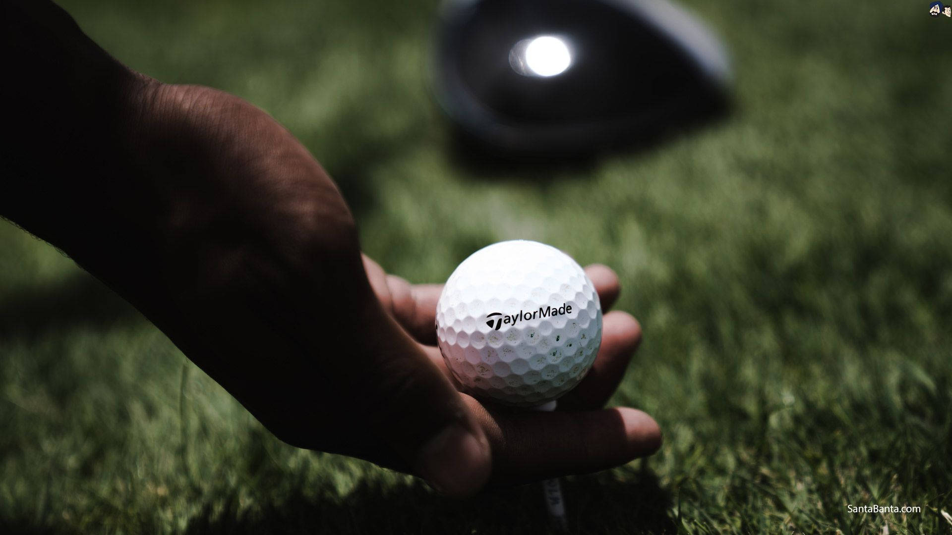 Golfing 桌布 壁紙 — 一隻手將白色TaylorMade高爾夫球放在球座上，背景是模糊的綠色草地，高爾夫球桿處於柔焦狀態。