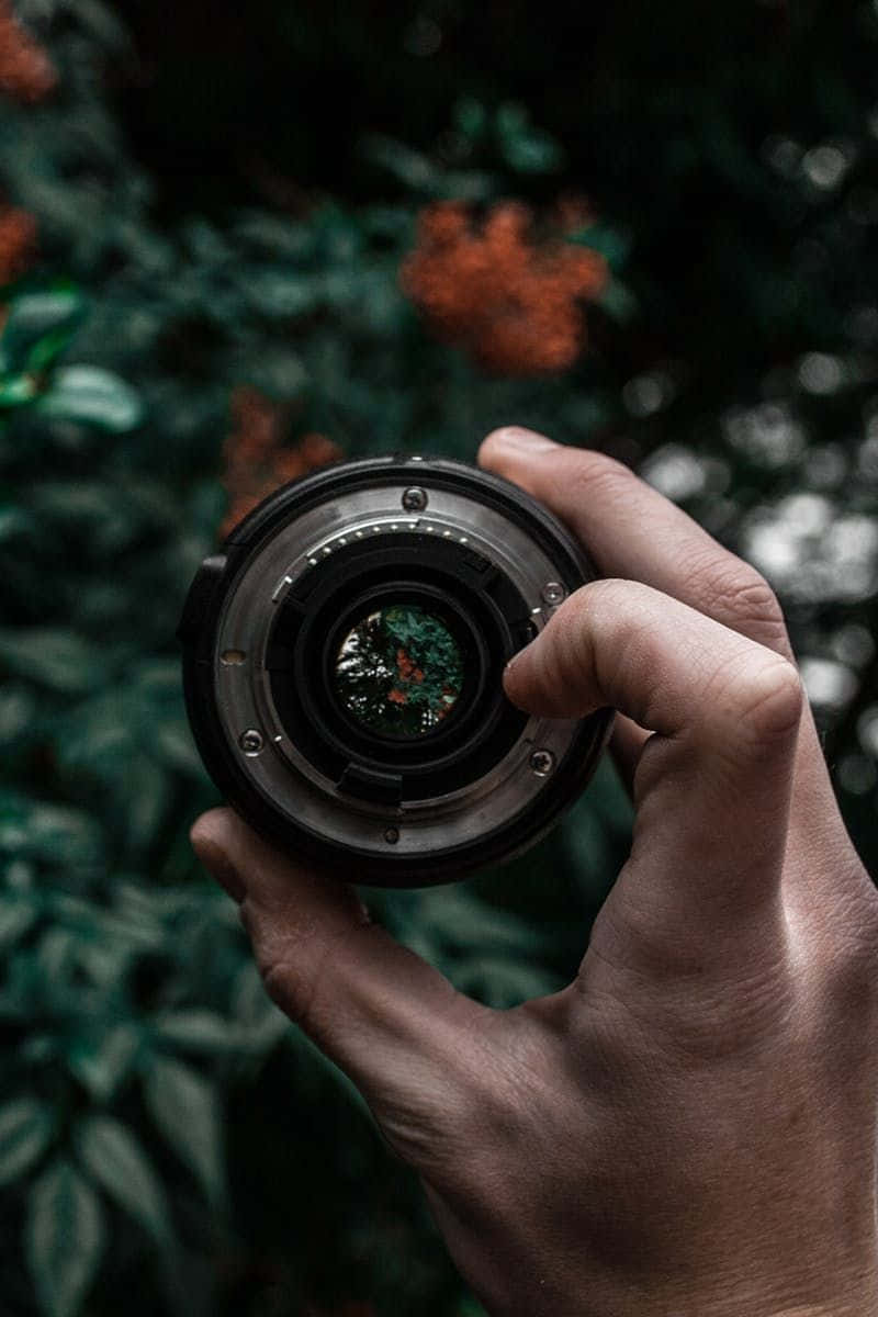 Holding Camera 桌布 壁紙 — 一隻手將相機鏡頭舉向觀眾，背景有模糊的綠色樹葉和橙色花朵。