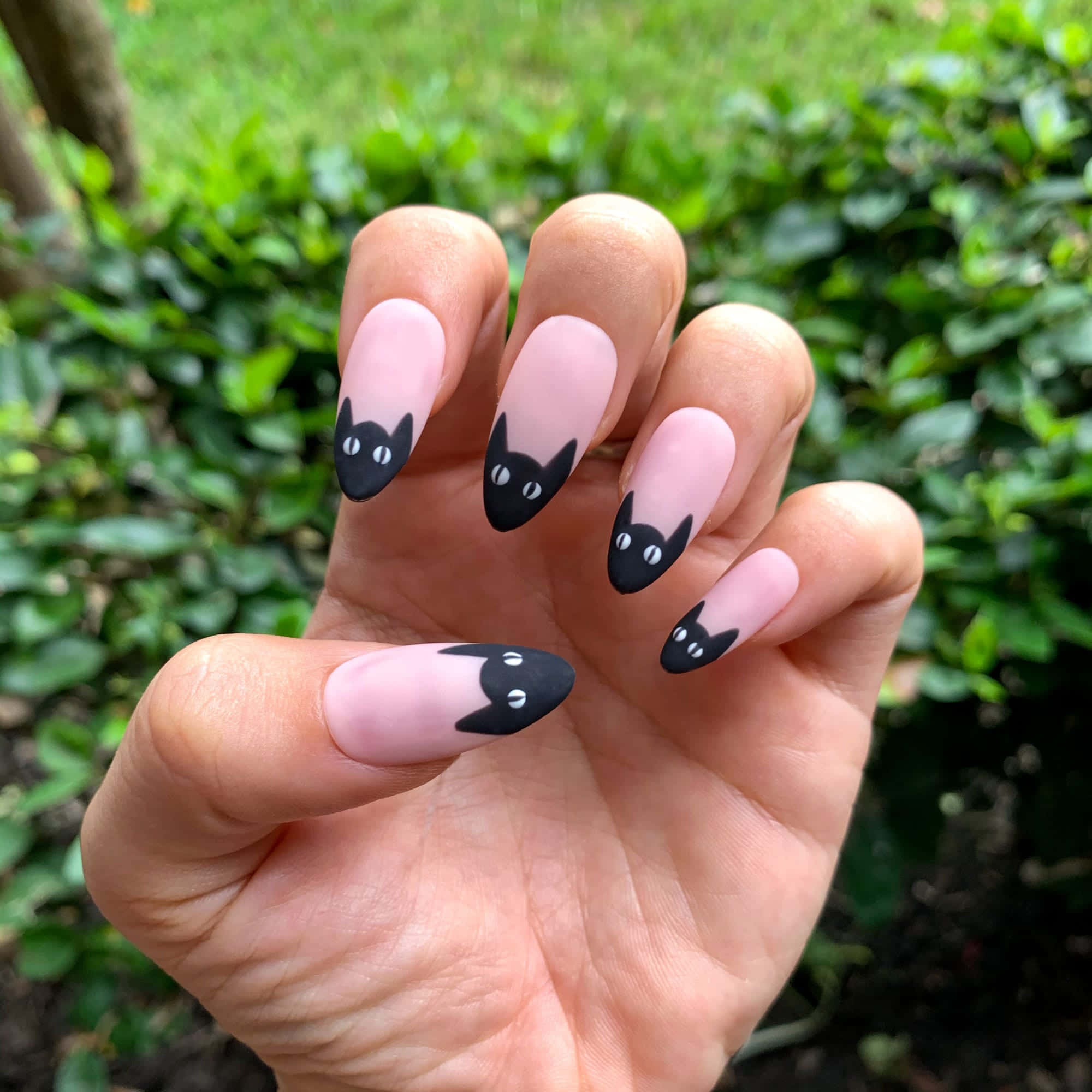 Halloween Nail Art 桌布 壁紙 — 一隻手展示精緻的粉紅色指甲，每隻指甲上都飾有可愛的黑貓臉設計，背景是茂密的綠色樹葉。
