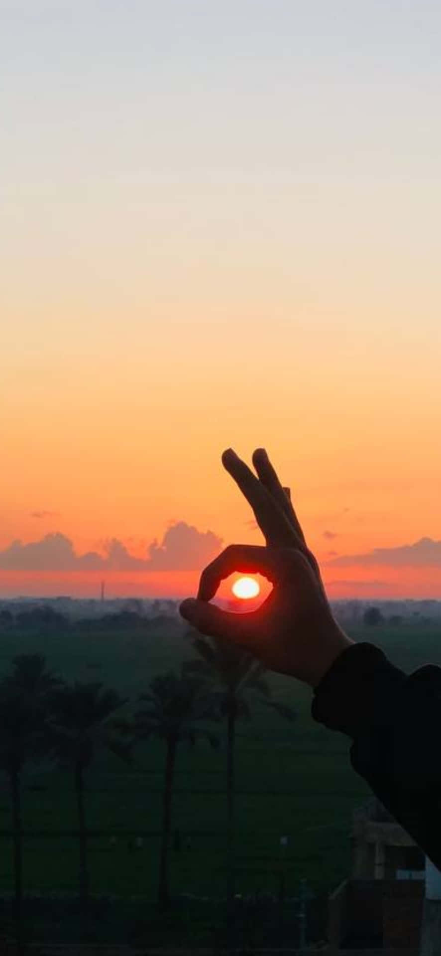 sun 壁紙 — 一隻手形成一個圓圈，框住一片有棕櫚樹的綠色田野上閃耀的日落。