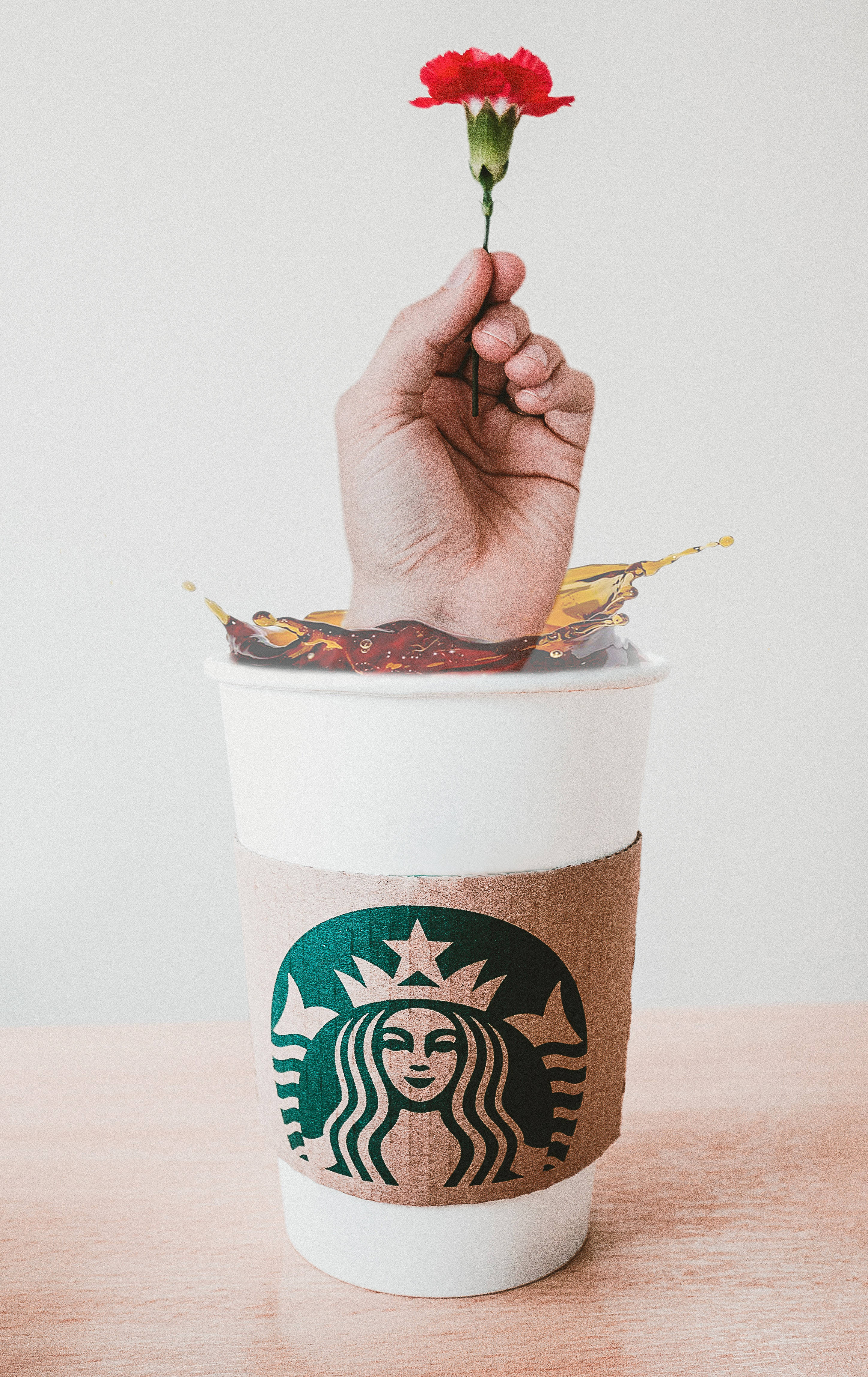 咖啡動圖 桌布 壁紙 — 一隻手從 Starbucks 咖啡杯中伸出，握著一朵紅色康乃馨，咖啡在杯邊飛濺。