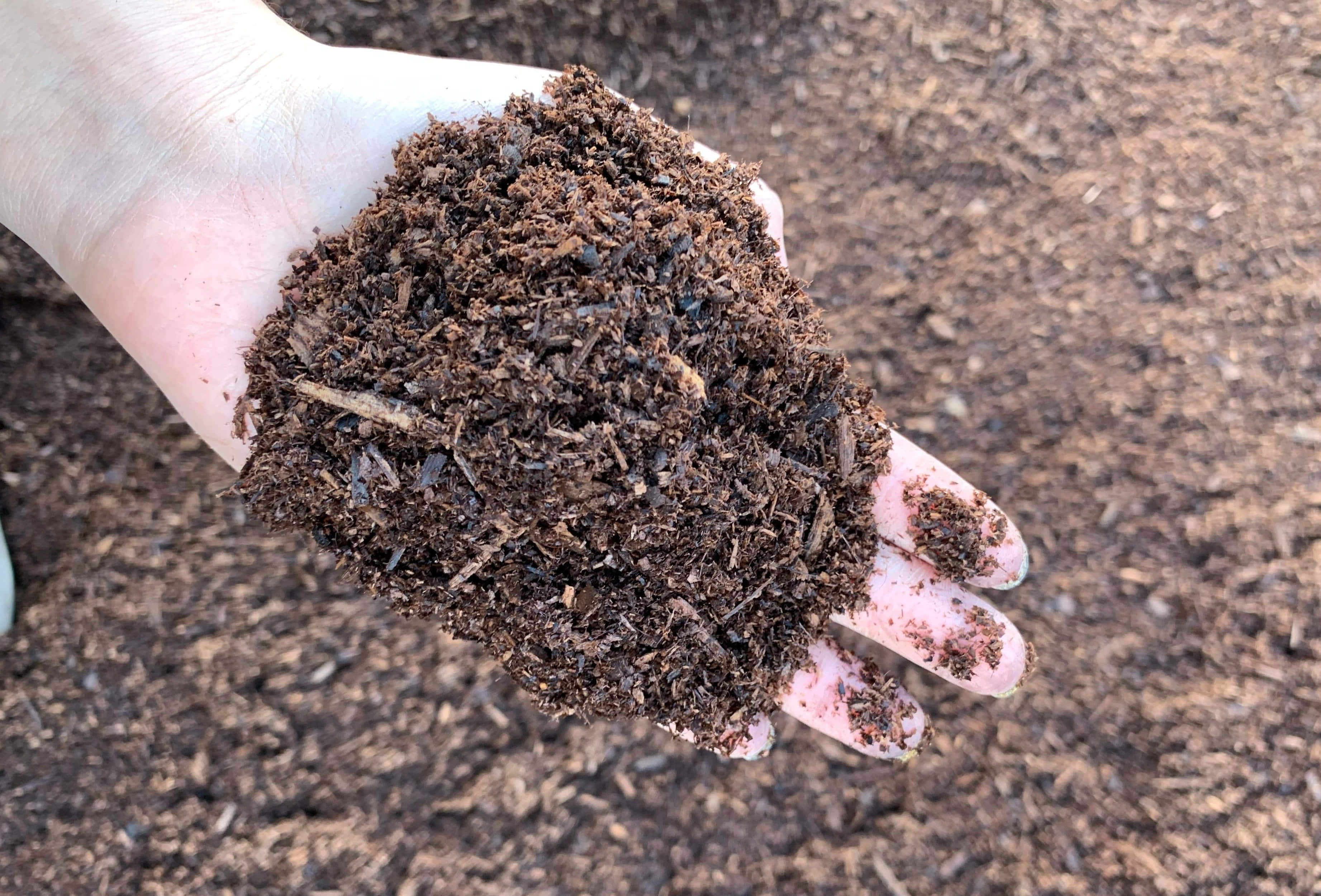 地球 桌布 壁紙 — 一隻手托住豐富深棕色覆蓋物，背景是模糊的同類材料。