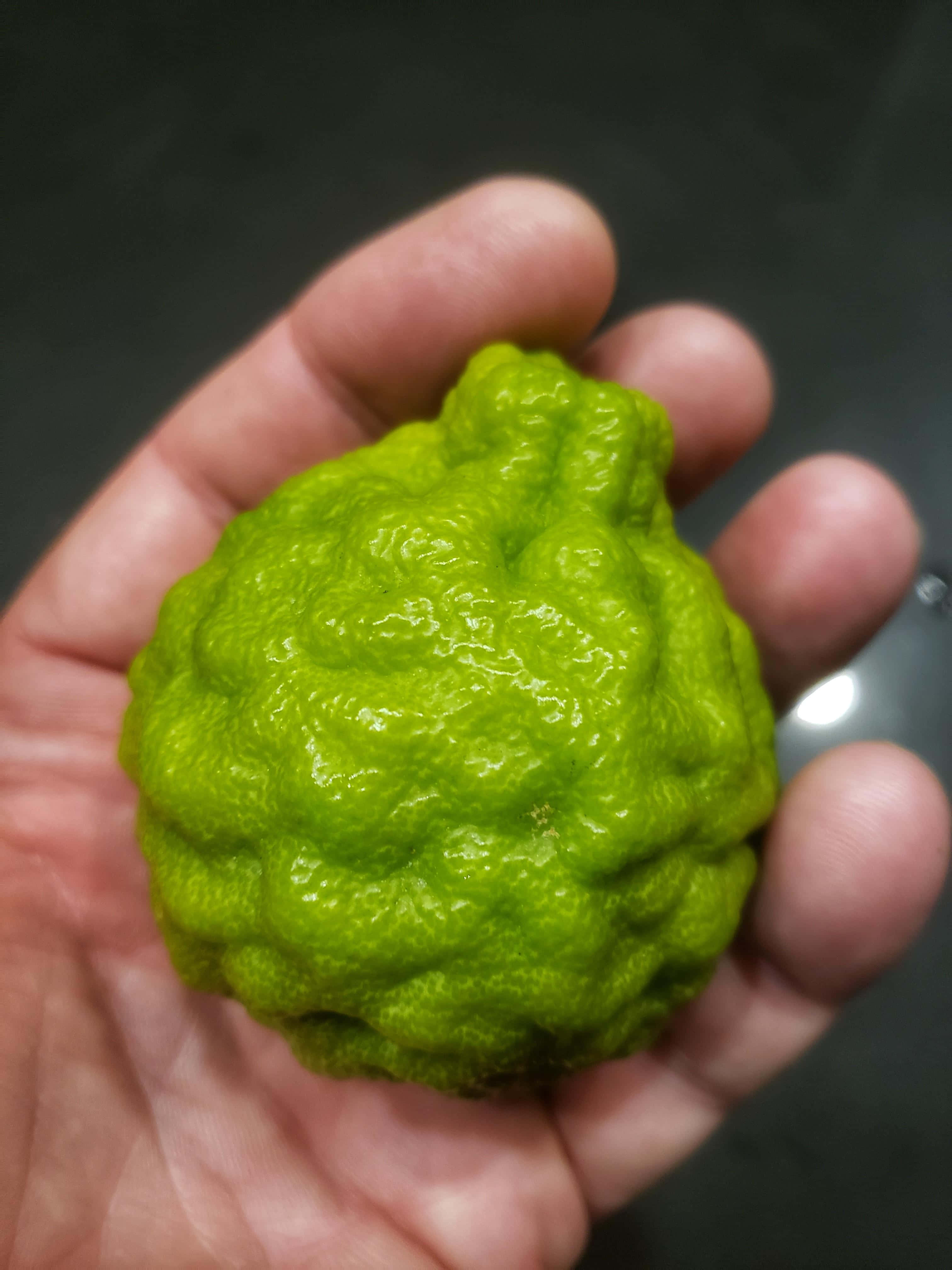 Fruit 桌布 壁紙 — 一隻手托著一個凹凸不平的亮綠色柑橘類水果，背景是暗色模糊的。