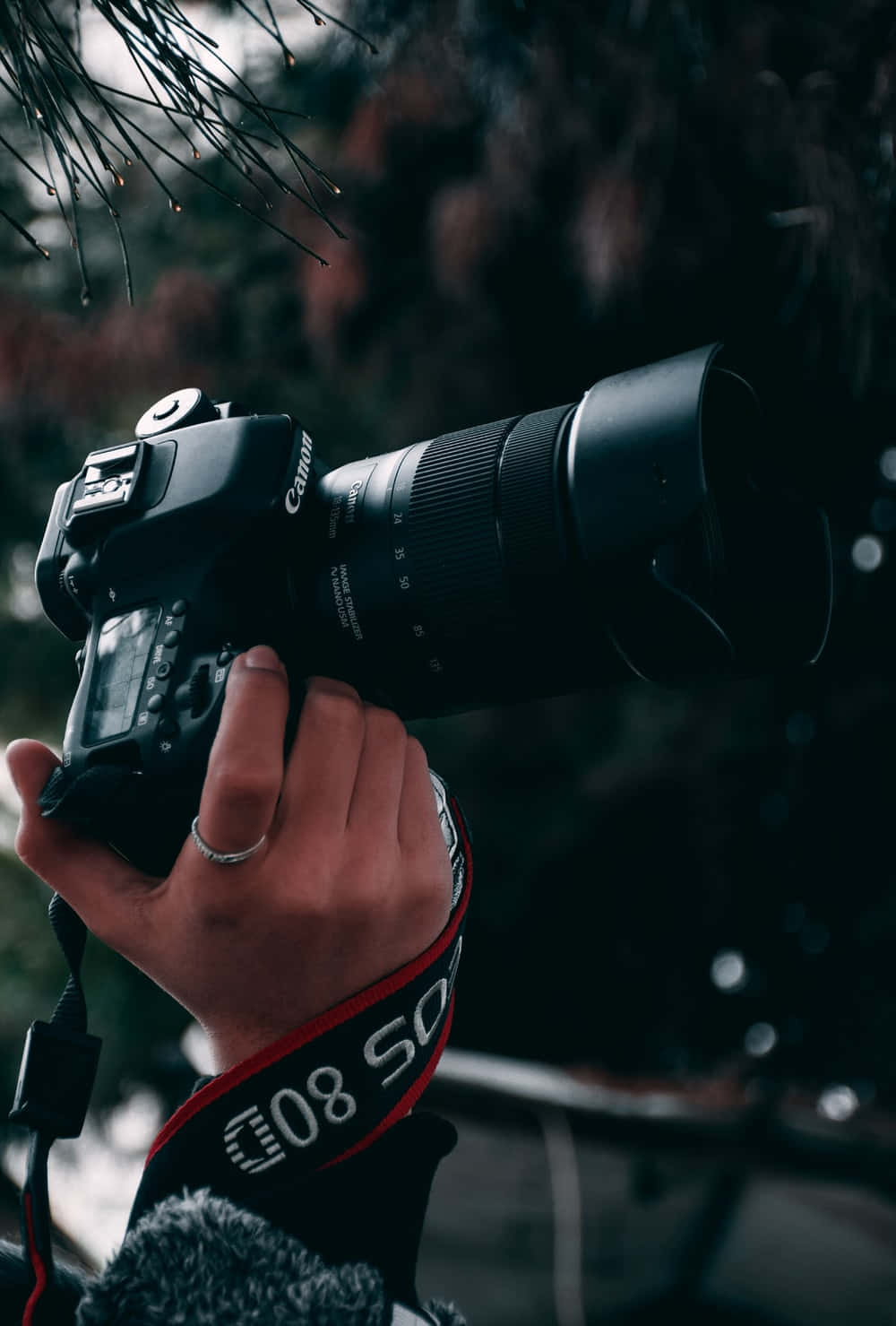 Dslr 桌布 壁紙 — 一隻手抓住一台黑色Canon DSLR相機，配備大鏡頭，背景是模糊的黑暗森林。