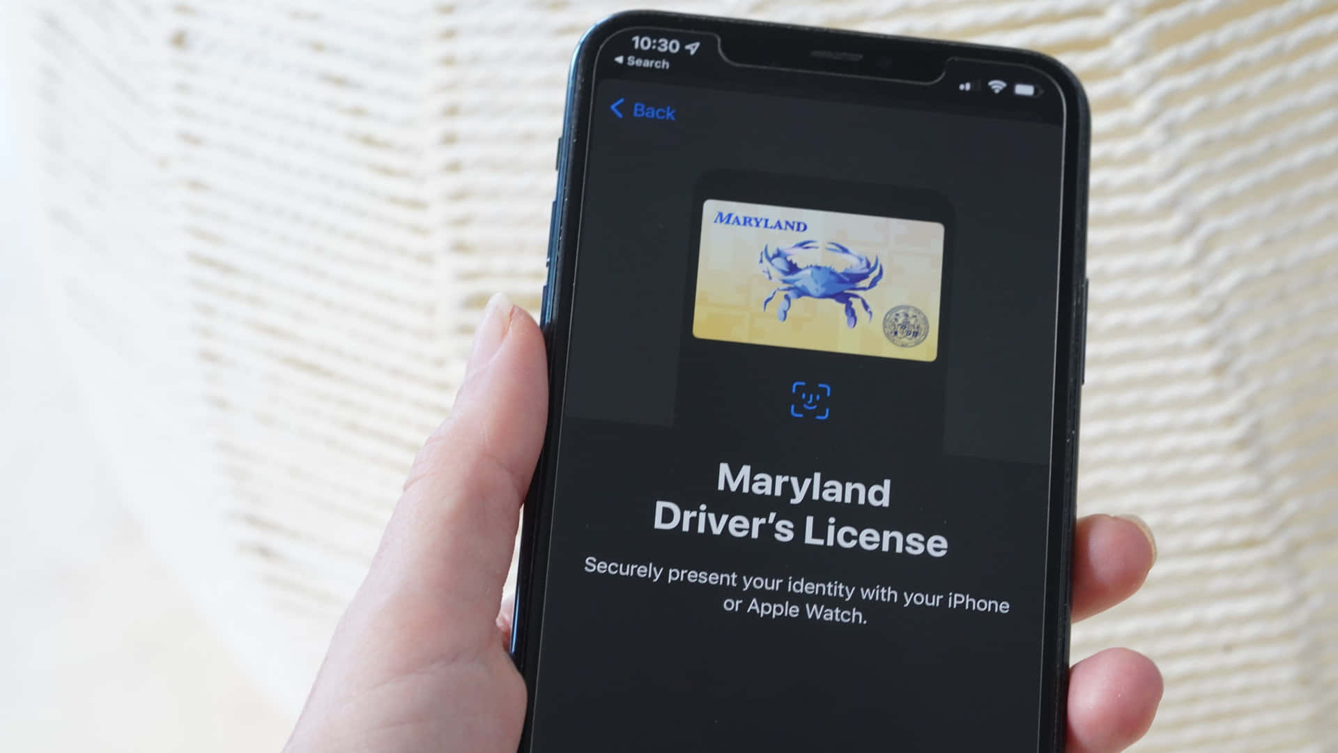 Smartphone 桌布 壁紙 — 一隻手拿著iPhone，在編織米色背景前顯示馬里蘭州數位駕駛執照功能。
