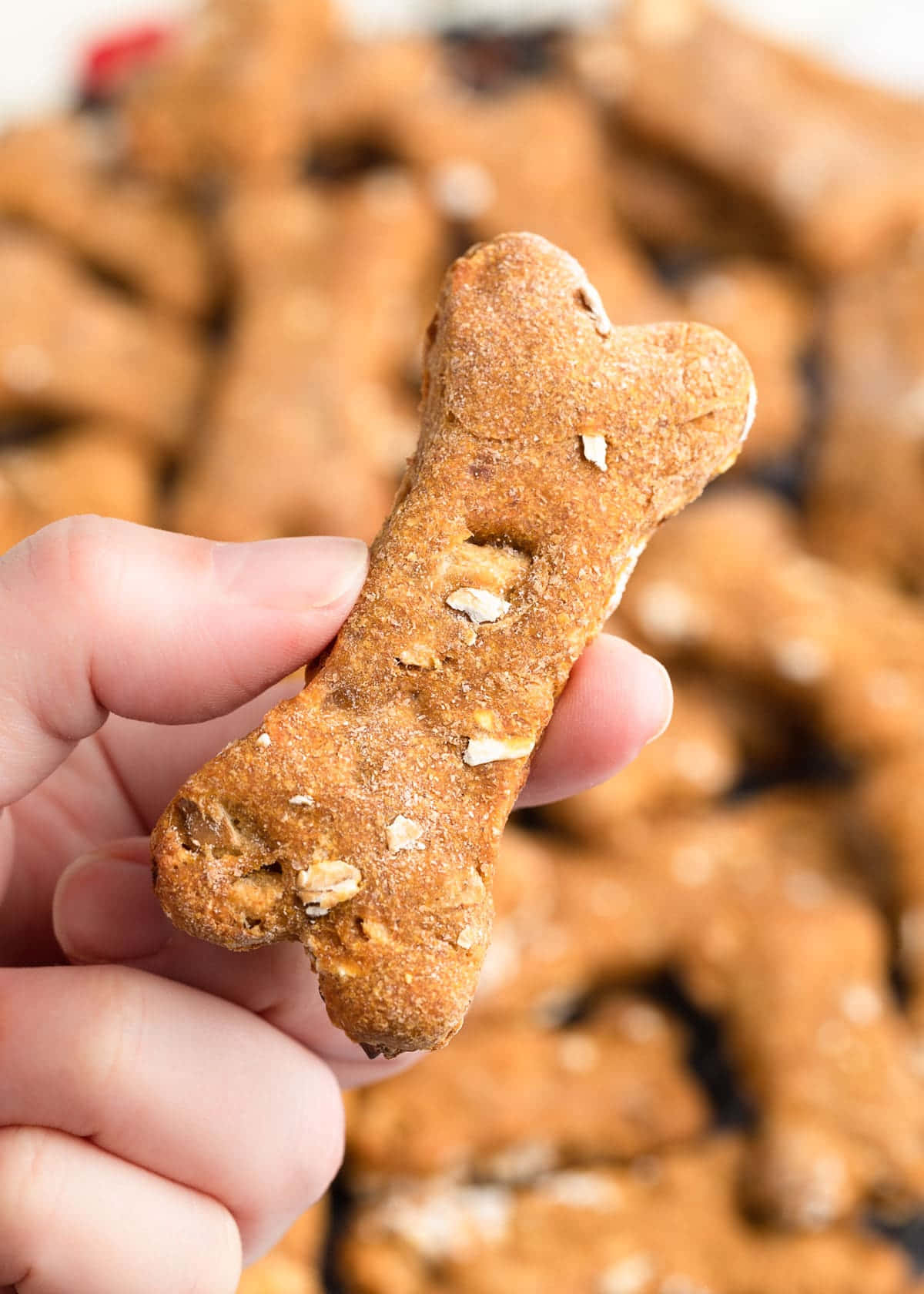 Cookies 桌布 壁紙 — 一隻手拿著一個撒上燕麥的骨形狗零食，背景是模糊的同類零食。