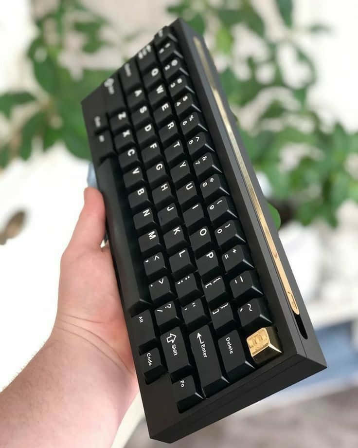 Gaming Accessories 桌布 壁紙 — 一隻手拿著一個時尚的黑色機械鍵盤，帶有金色點綴，背景是模糊的綠色植物。