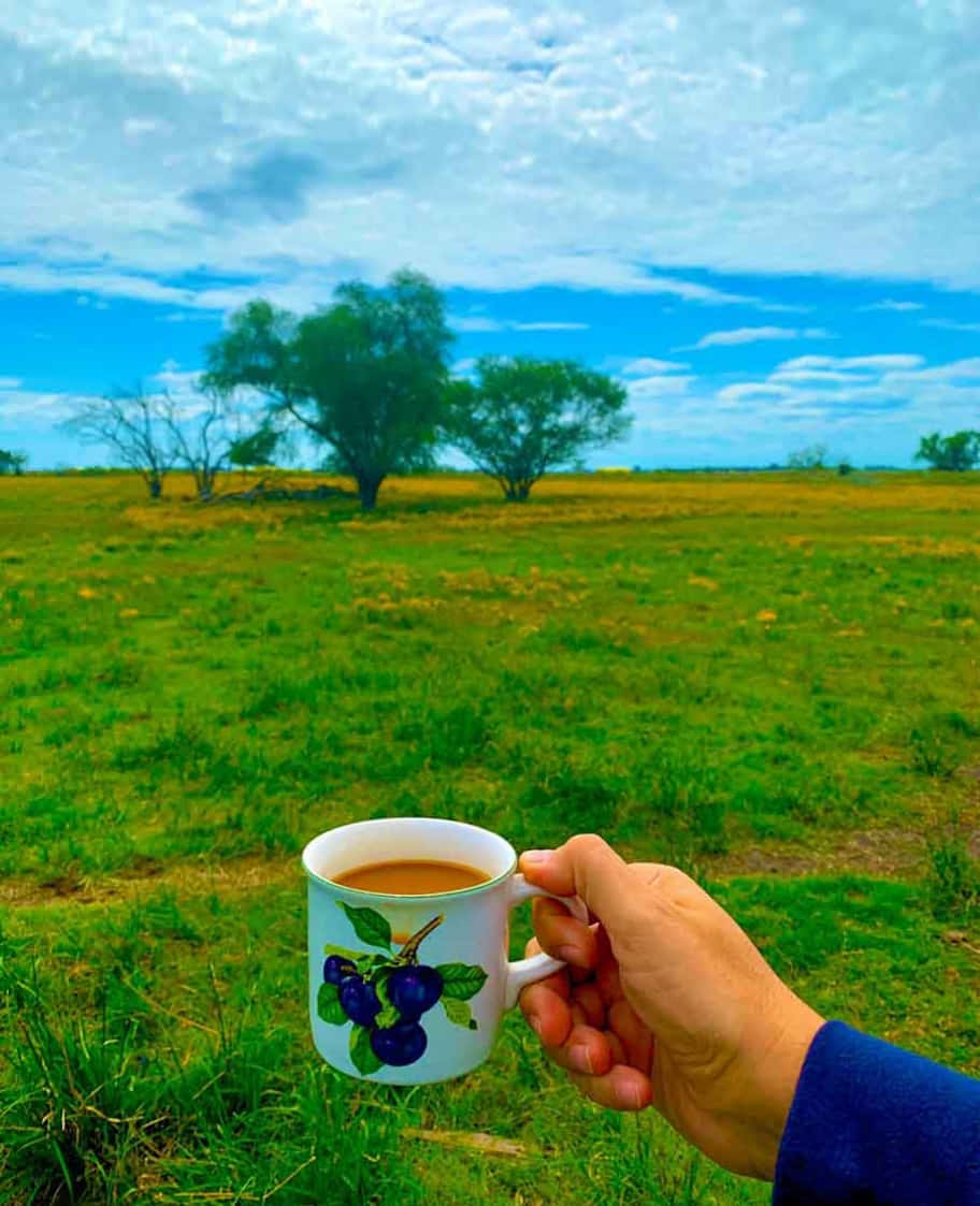 Morning Coffee 桌布 壁紙 — 一隻手拿著一個梅花圖案的茶杯，背景是廣闊的綠色田野和明亮的藍天，天空中有散落的雲朵。