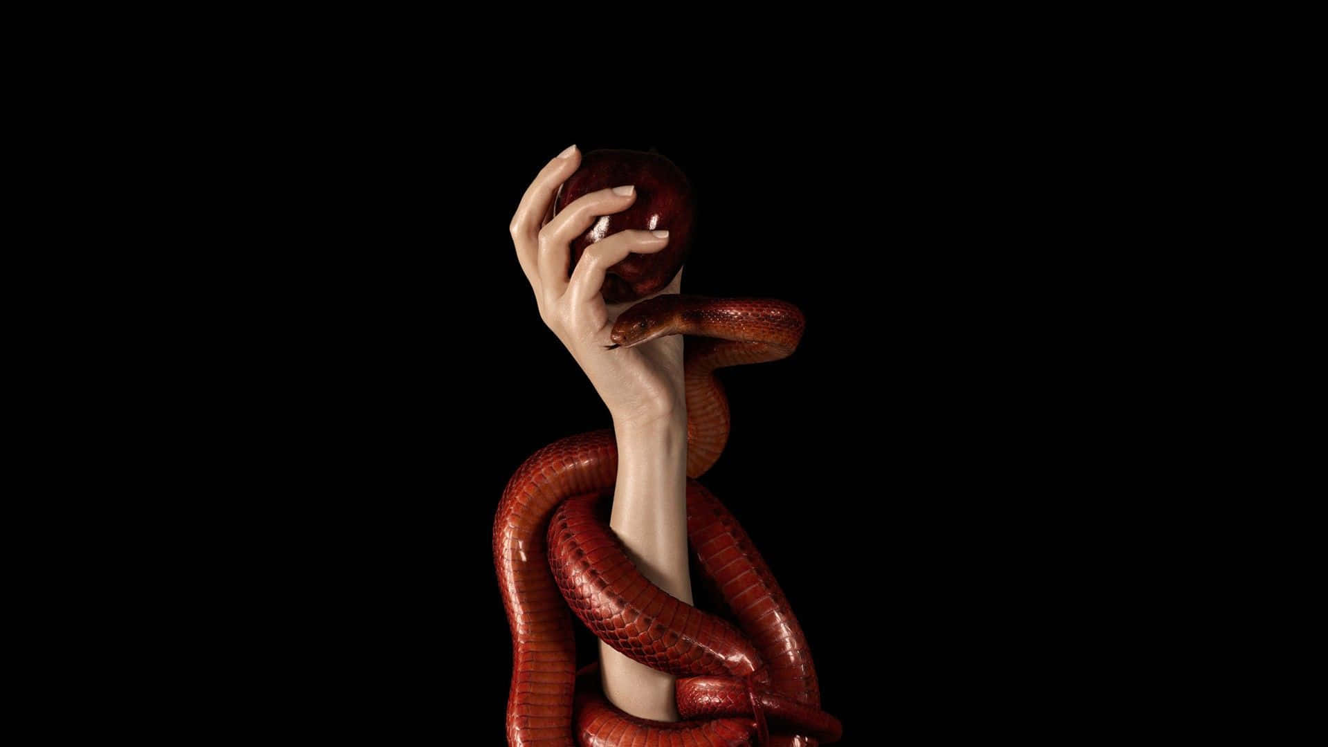 Scary Snake 桌布 壁紙 — 一隻手拿著一個紅蘋果，同時一條紅蛇纏繞在手臂上，背景為黑色。