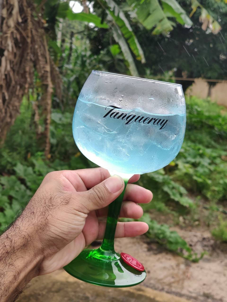 cocktail 桌布 壁紙 — 一隻手拿著一個綠色莖的琴酒杯，裡面裝滿藍色液體和冰塊，背景是茂密的雨林。