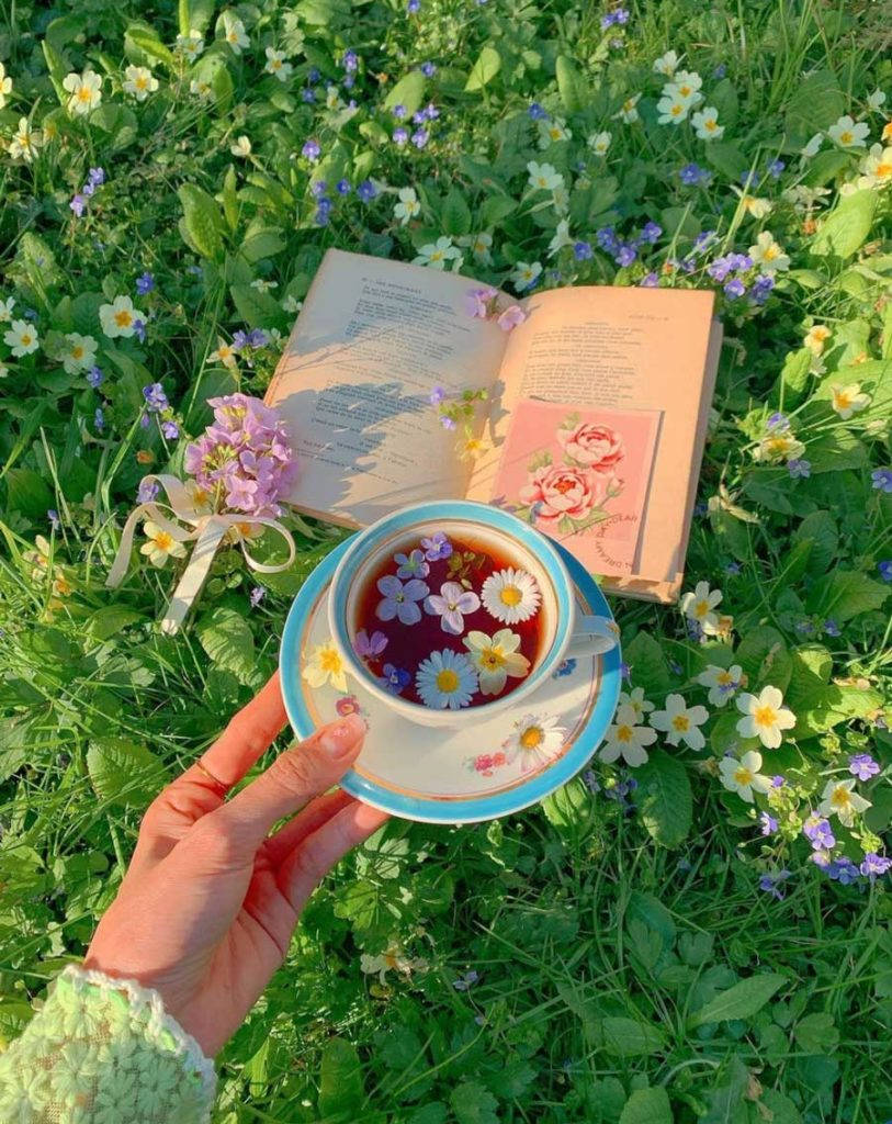 Spring iPhone 桌布 壁紙 — 一隻手拿著一個花卉茶杯，旁邊放著一本打開的書，在陽光明媚的野花田裡。