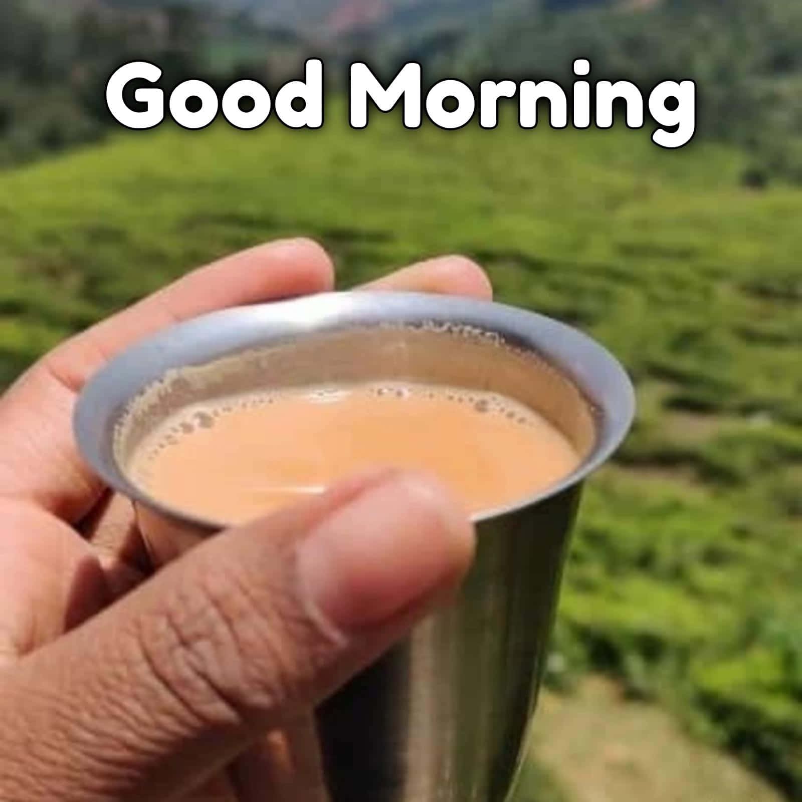 Morning Tea 桌布 壁紙 — 一隻手拿著一個金屬杯，裡面裝著泡沫茶，背景是陽光下茂密的綠茶園。