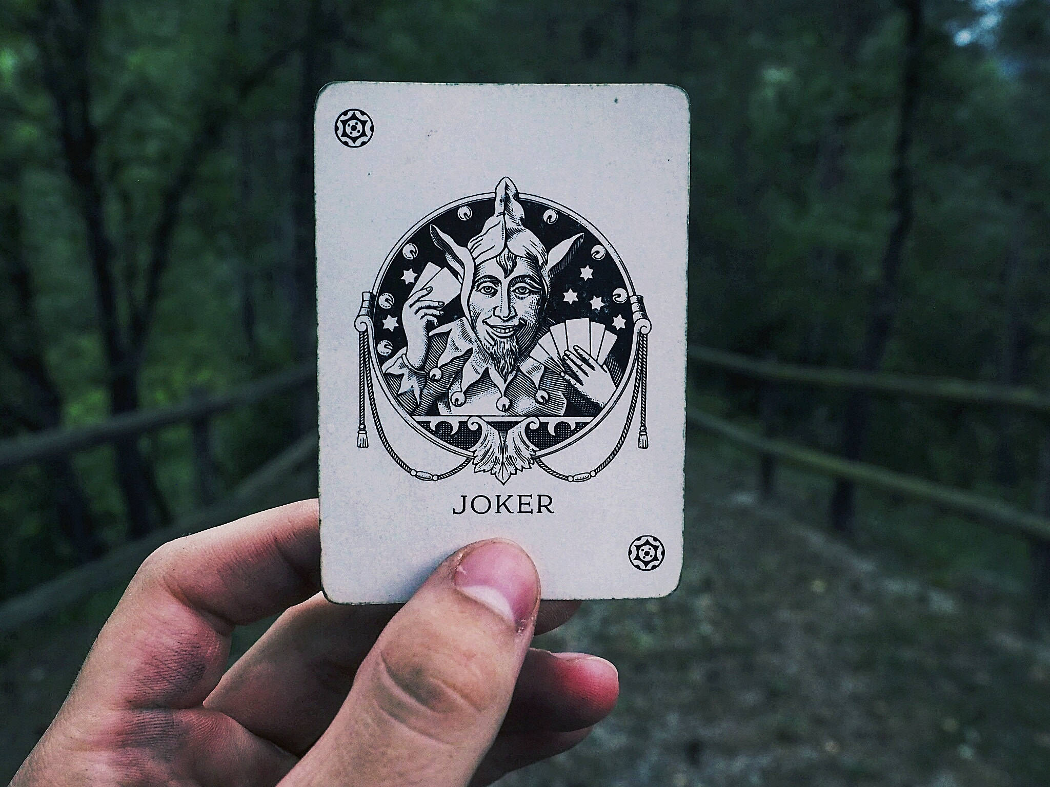 小丑 桌布 壁紙 — 一隻手拿著一張復古小丑撲克牌，上面有詳細的黑白插圖，背景是模糊的森林。