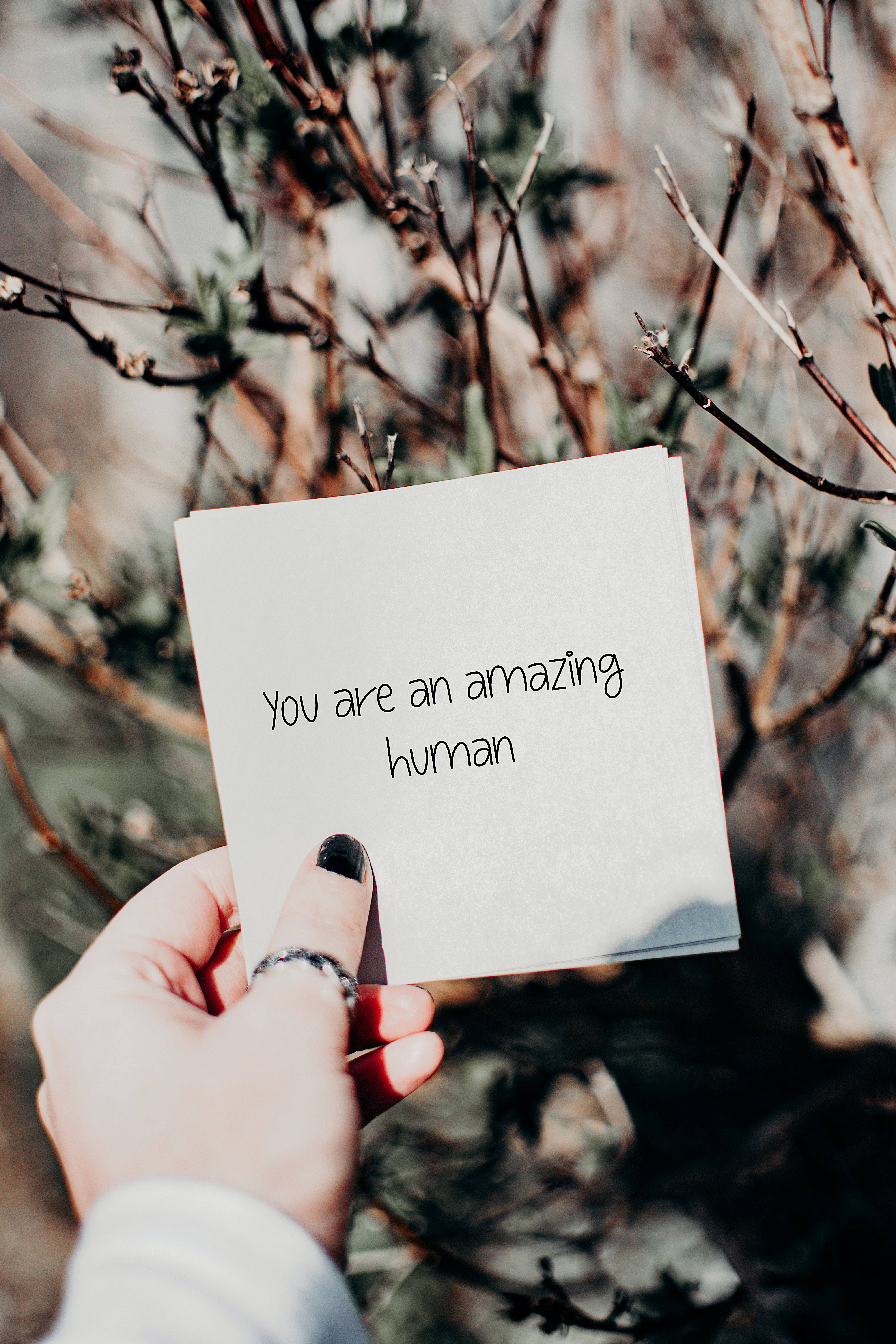 Positive 桌布 壁紙 — 一隻手拿著一張手寫便條，上面寫著「你是一個了不起的人」，背景是柔和的日光下模糊的禿枝。